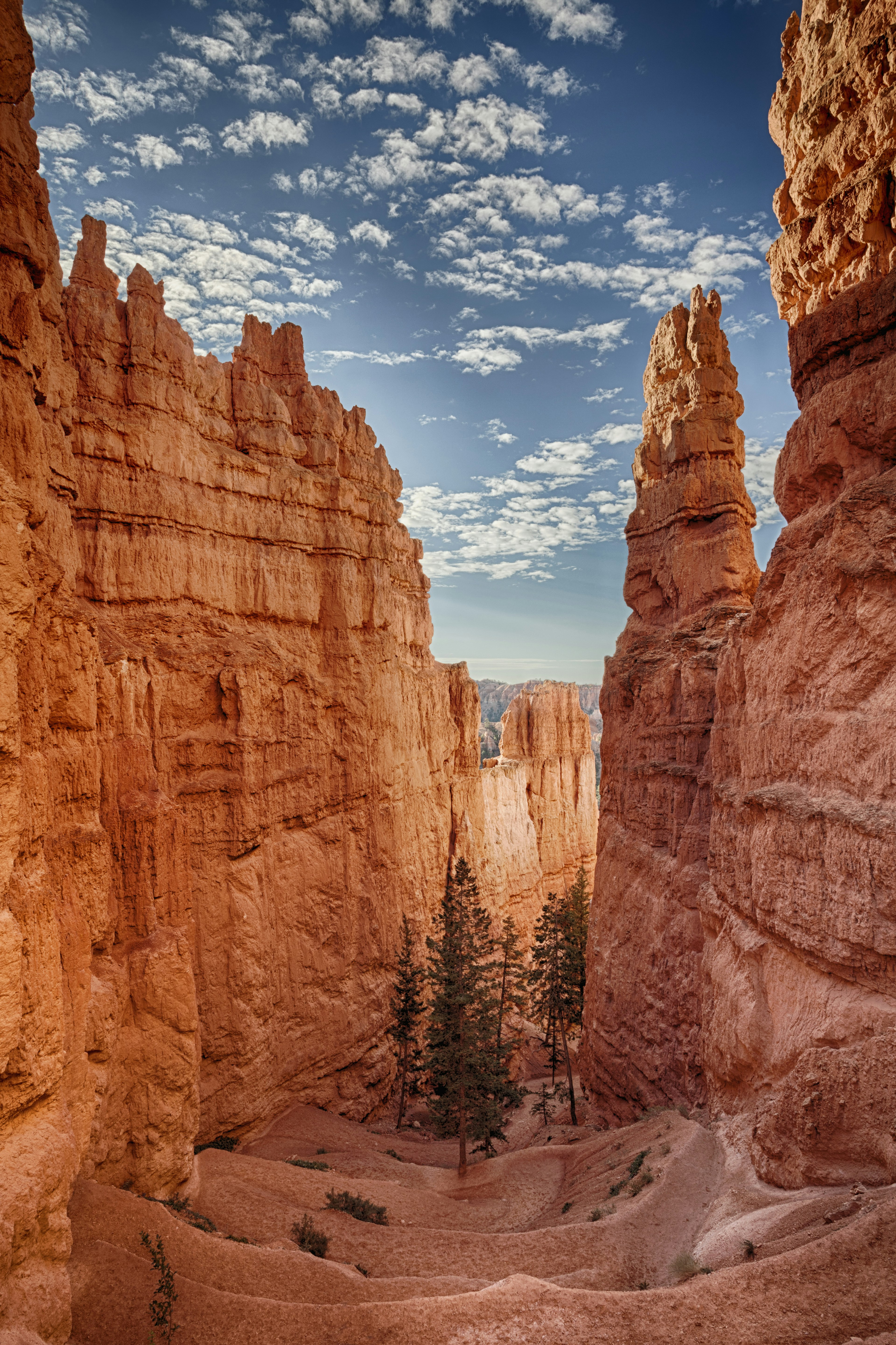 A pathway surrounded by tall rock walls and spires