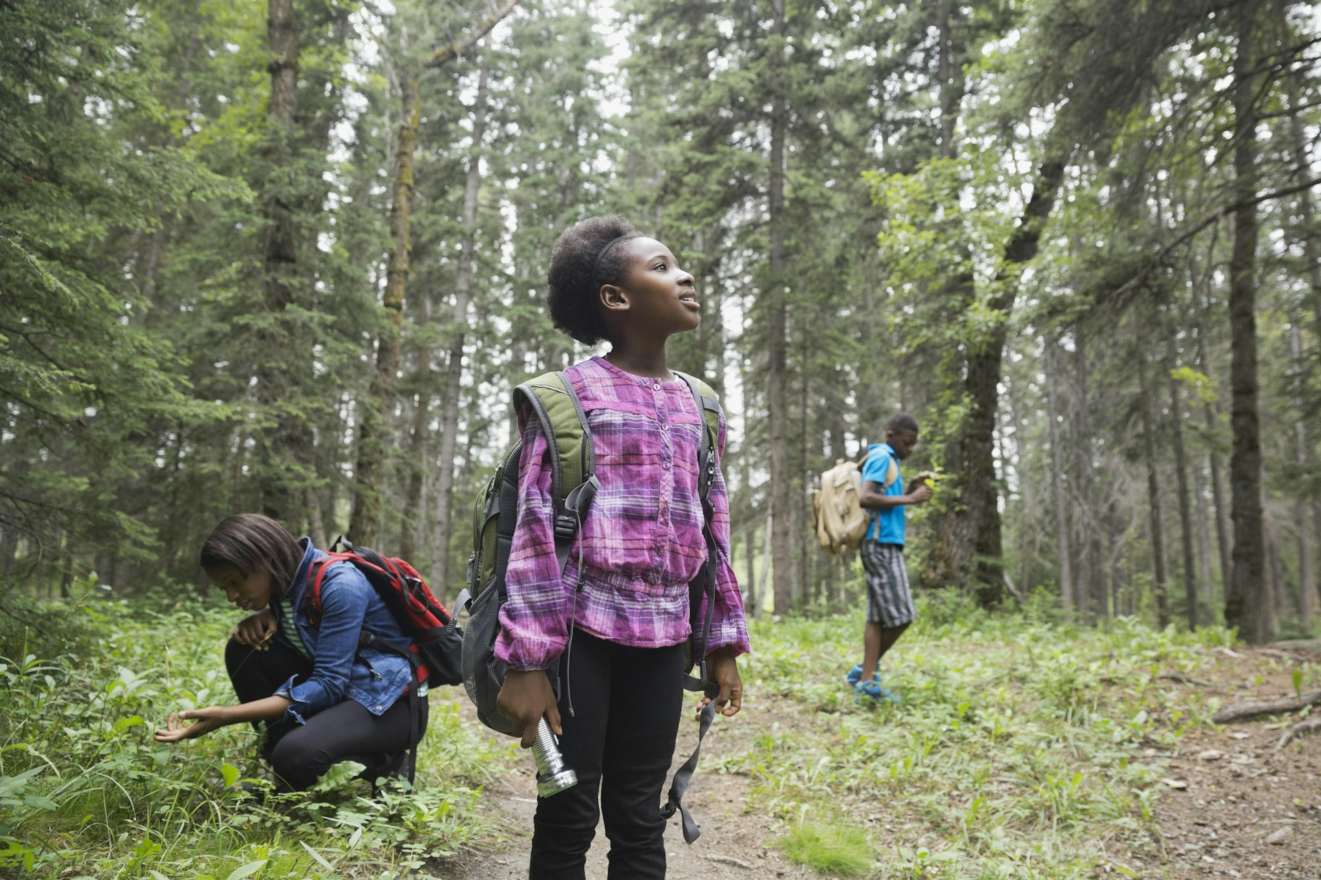 Siblings exploring in forest