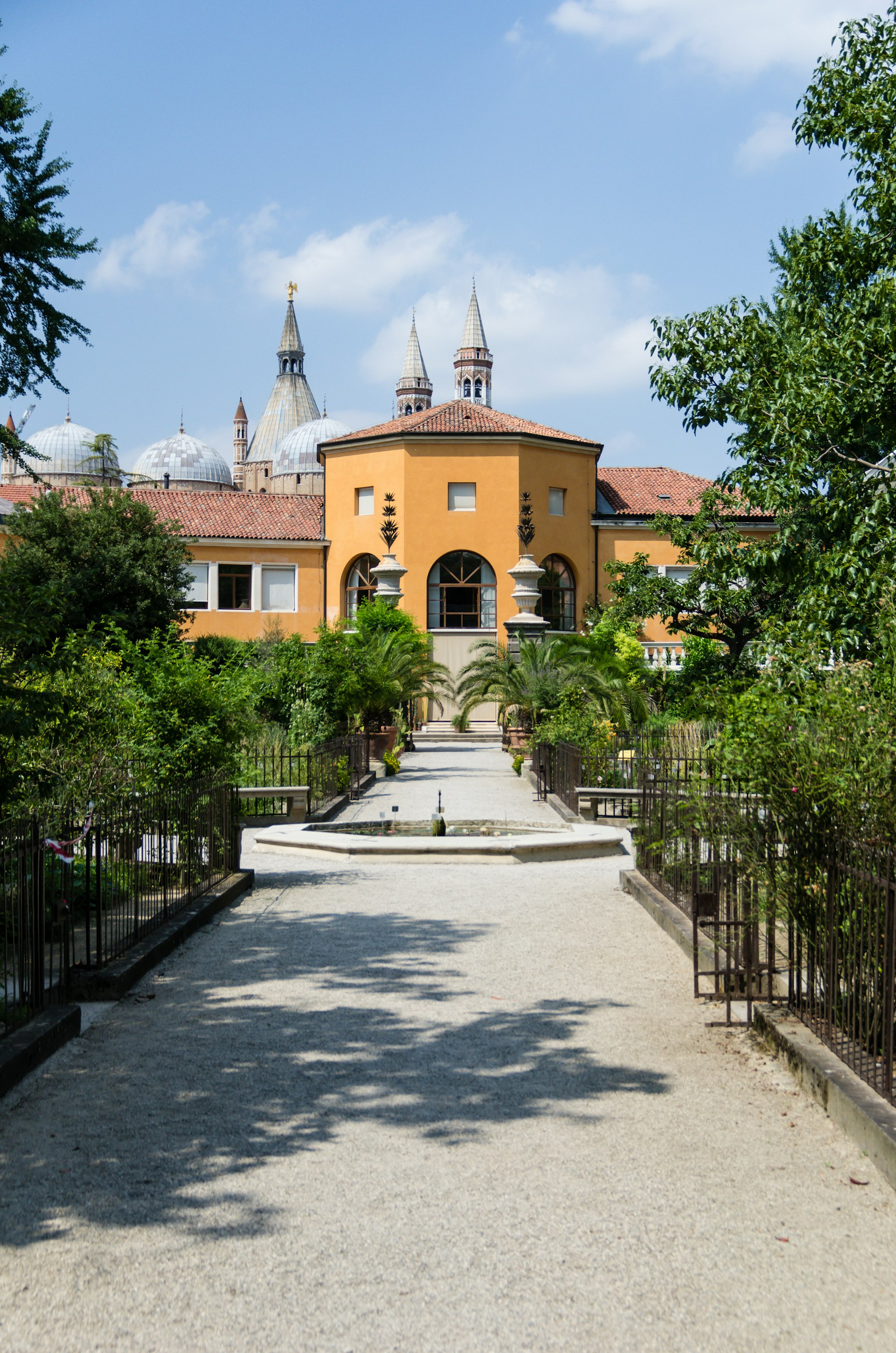 Botanical garden, Orto Botanico di Padova