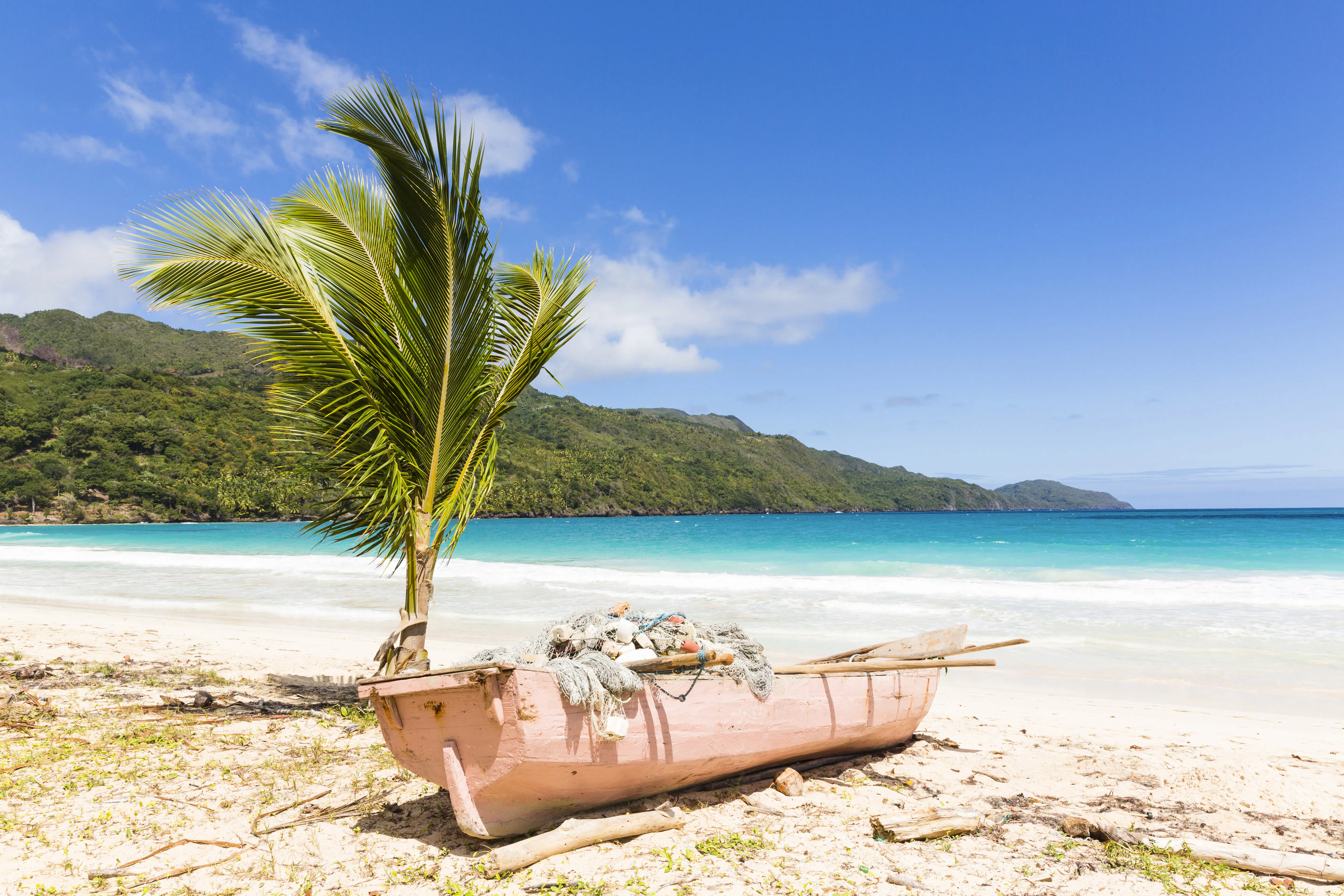 Pink fishing boat by a young palm tree on the beach, Playa Rincon, Samana Peninsula, Dominican Republic, Caribbean