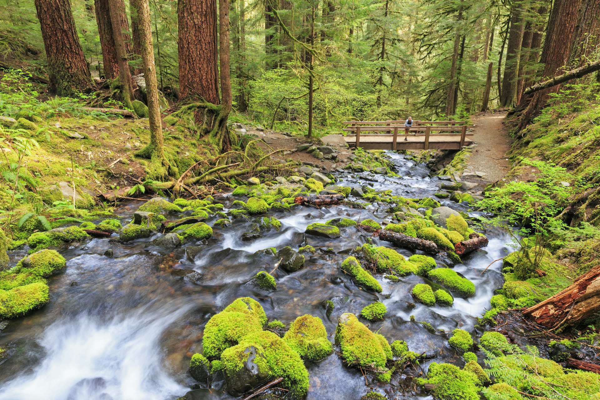 Sol Duc river and wooden bridge in Olympic National Park