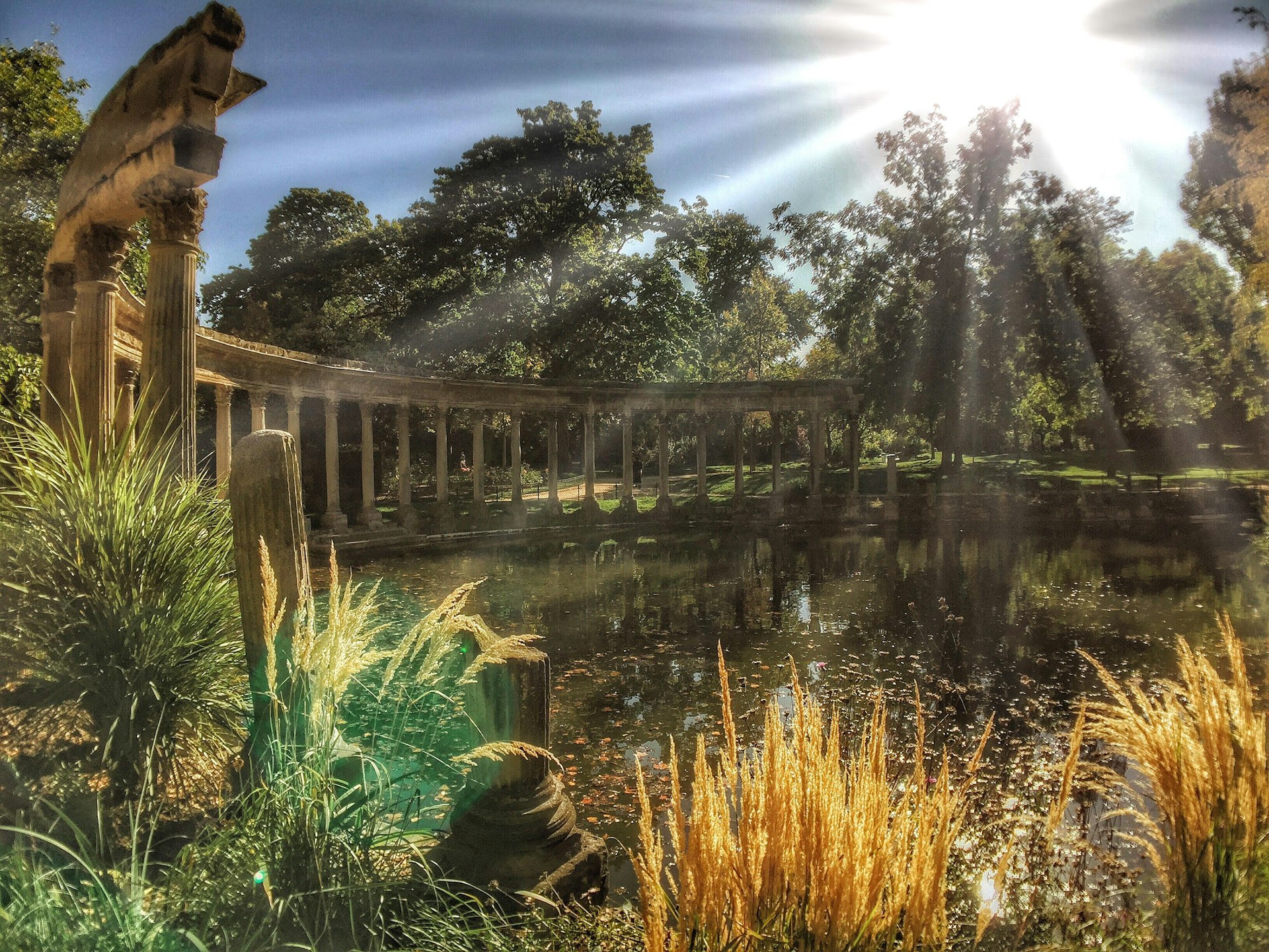 The sunlight streams through the grass in a Park. 