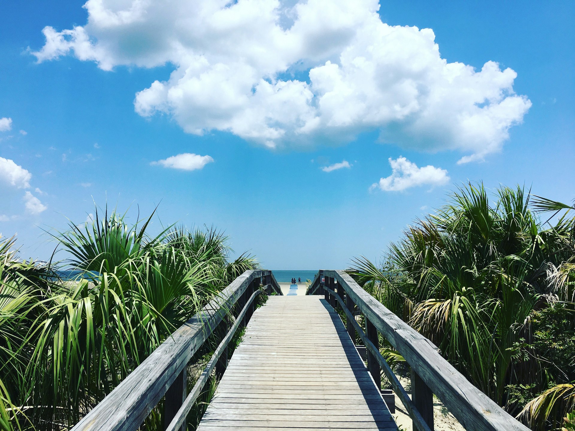 A boardwalk through palm trees leads down to a beach