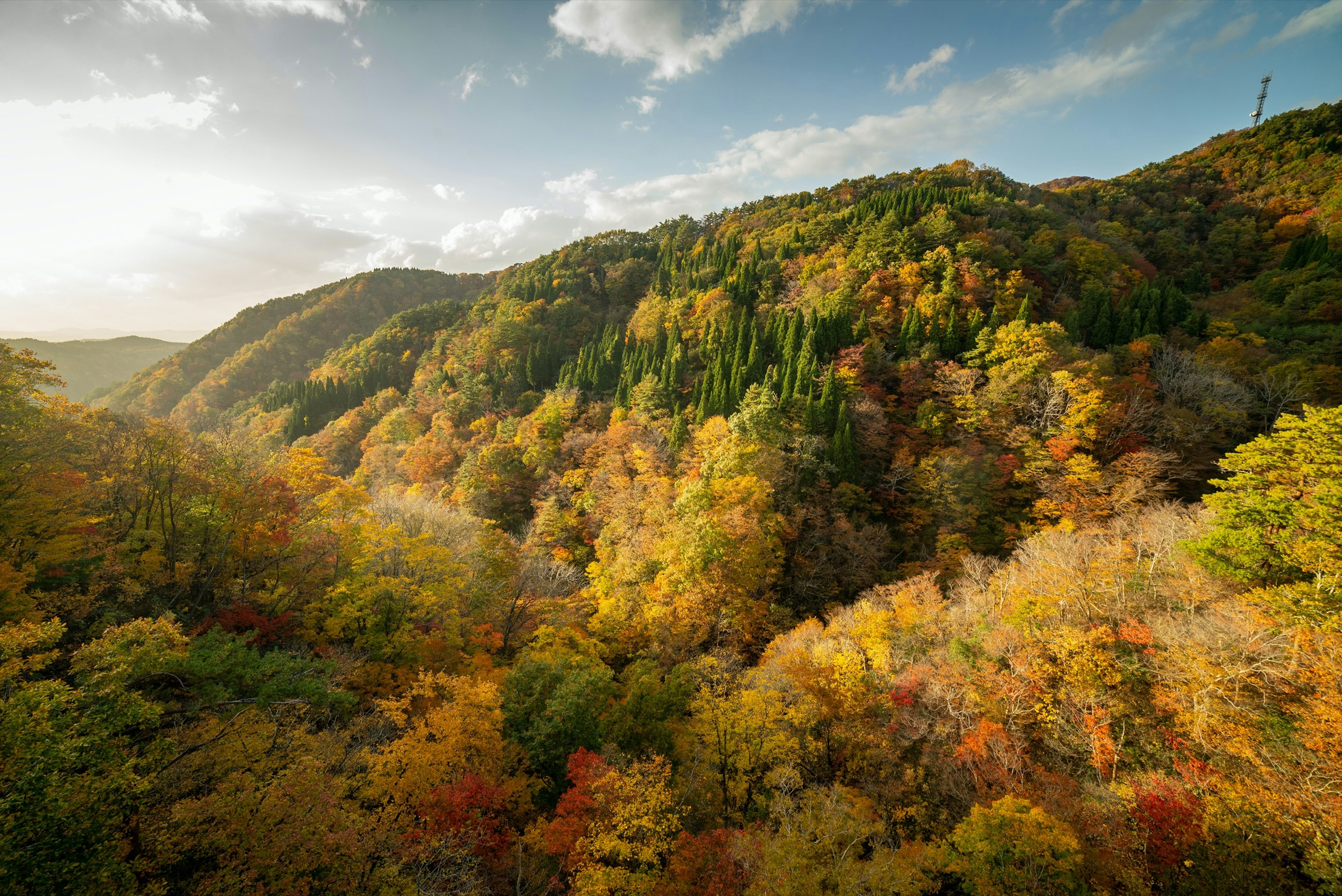 Gifu_Ishikawa_Hiking_Ishikawa_autumn.jpg