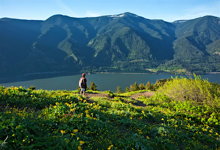 WASHINGTON - Hiker overlooking the Columbia River from the Dog Mountain Trail in the Columbia River Gorge National Scenic Area. WASHINGTON - Hiker overlooking the Columbia River from the Dog Mountain Trail in the Columbia River Gorge National Scenic Area.