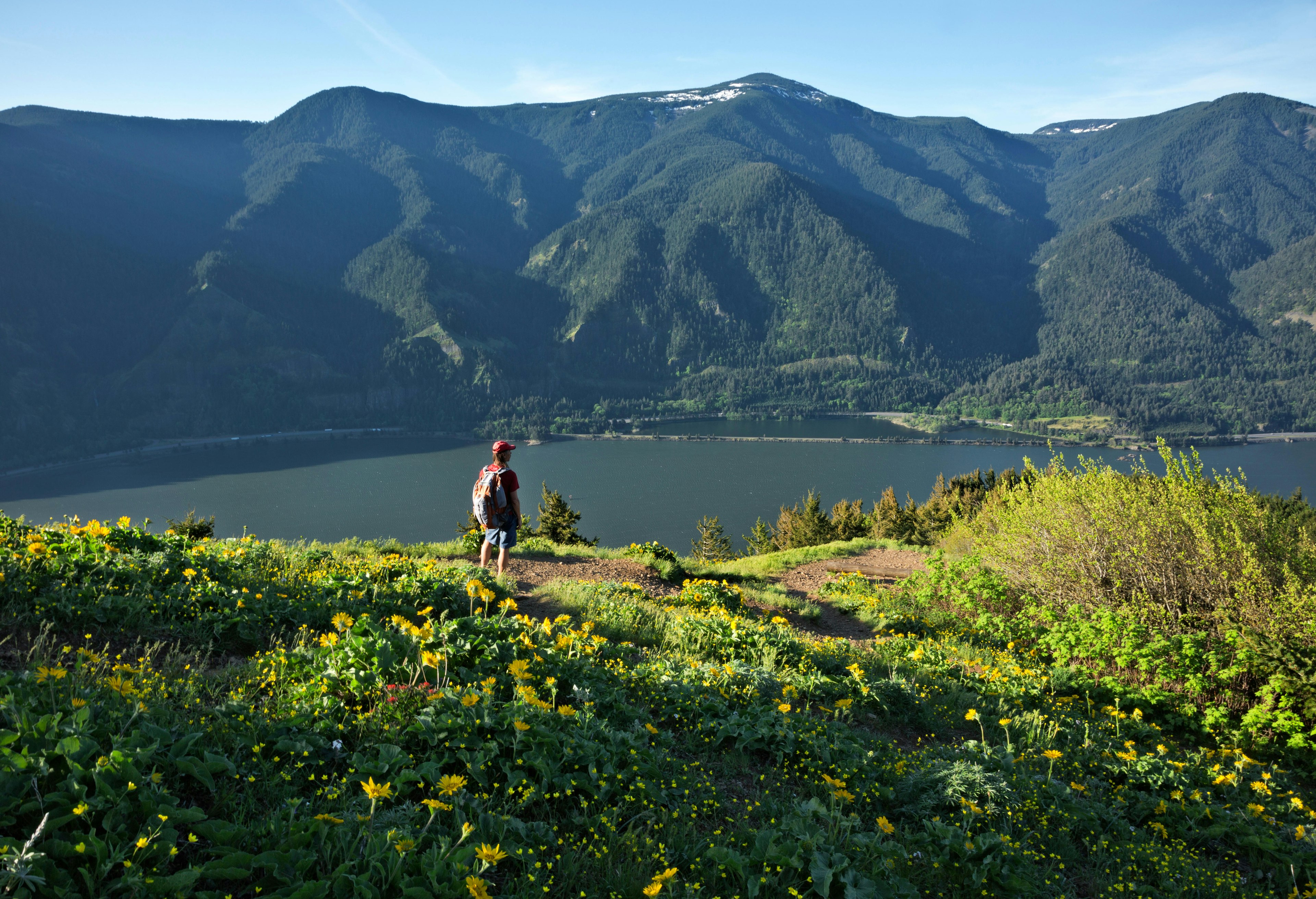 A hiker overlooking a river near a meadow of wild flowers