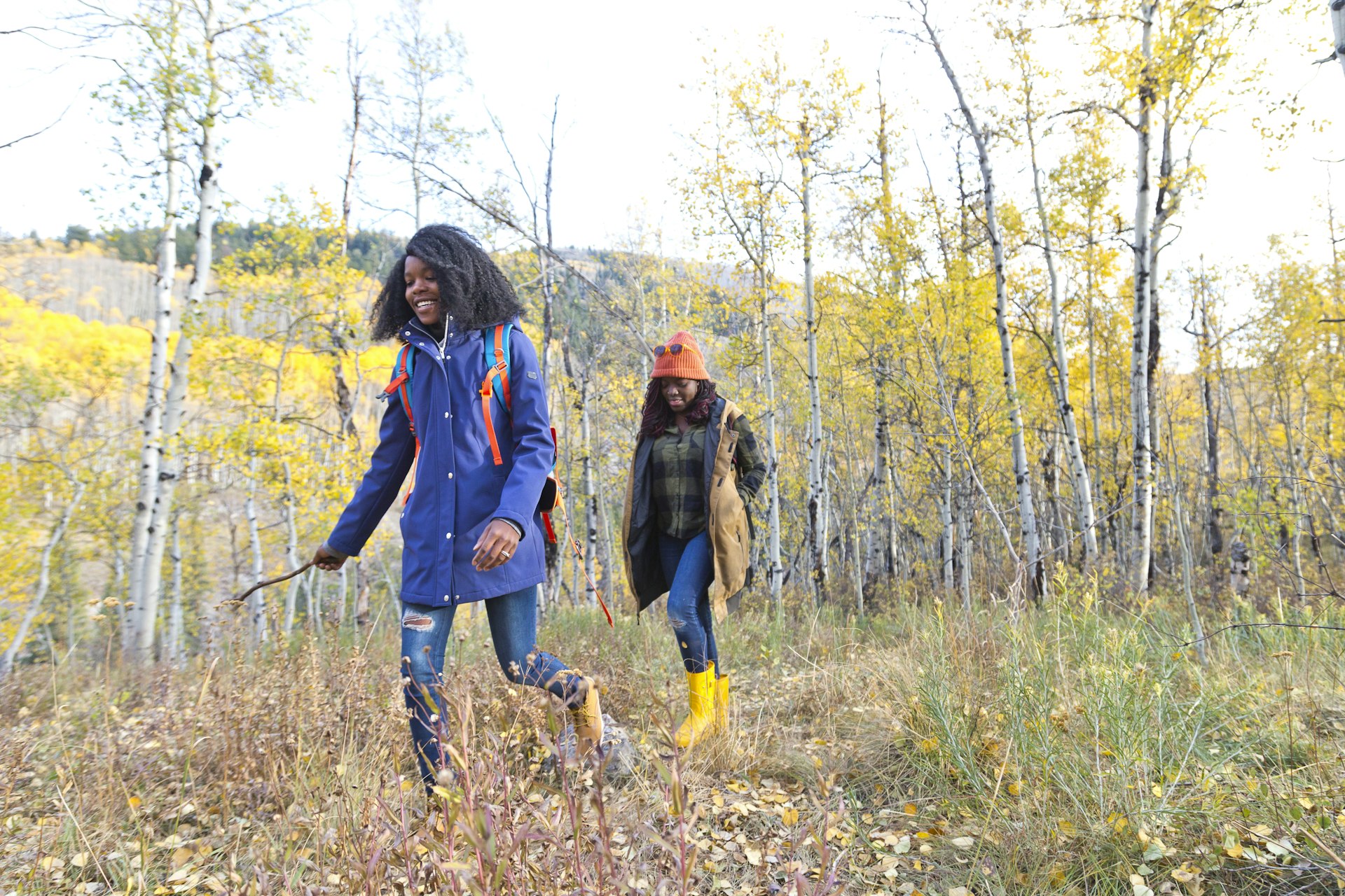 Camping in Aspen in Autumn