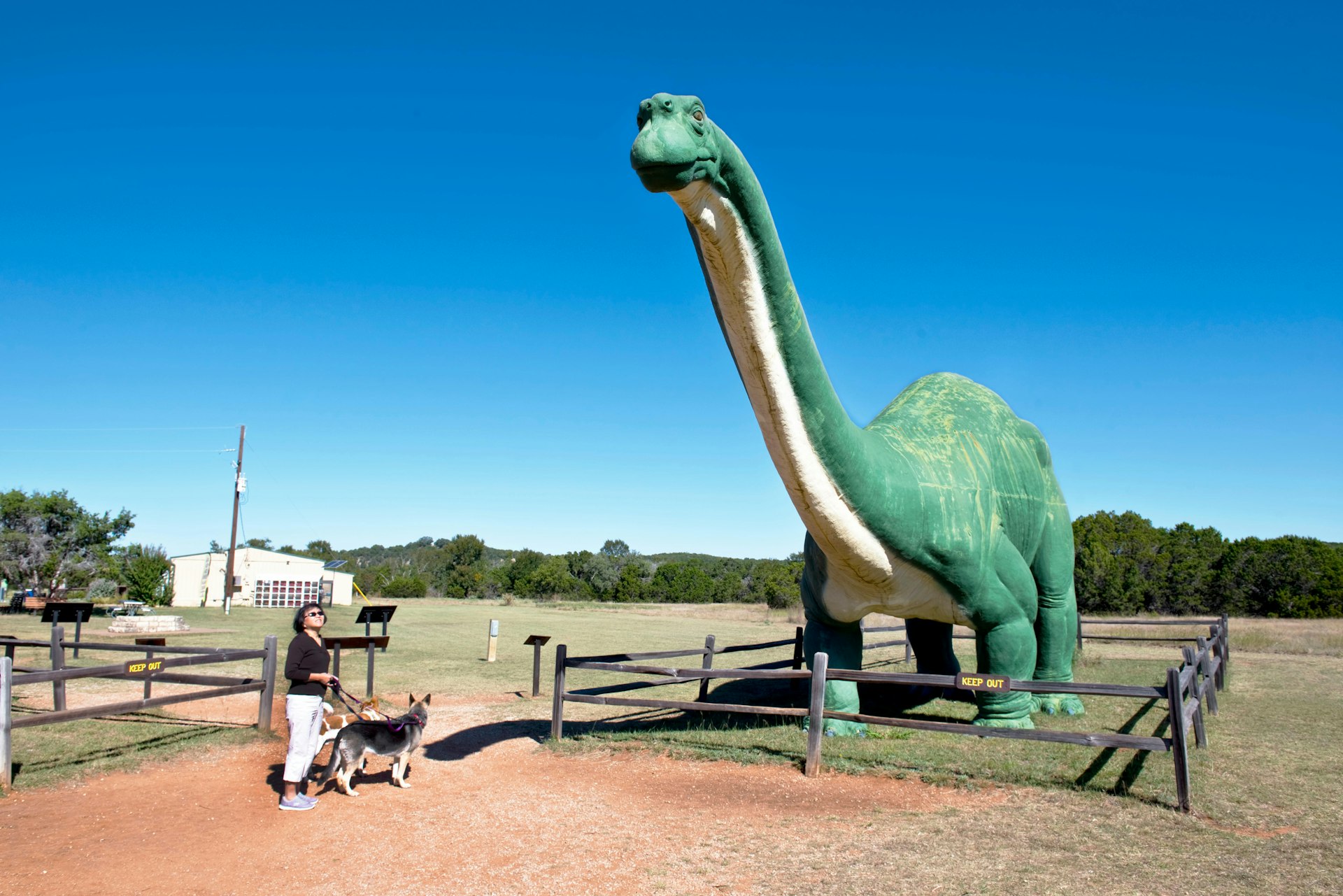 Glen Rose,Texas - Oct.16-2017  Dinosaur Valley State Park in Glen Rose,TX having Dino tracks over 100 million years old.