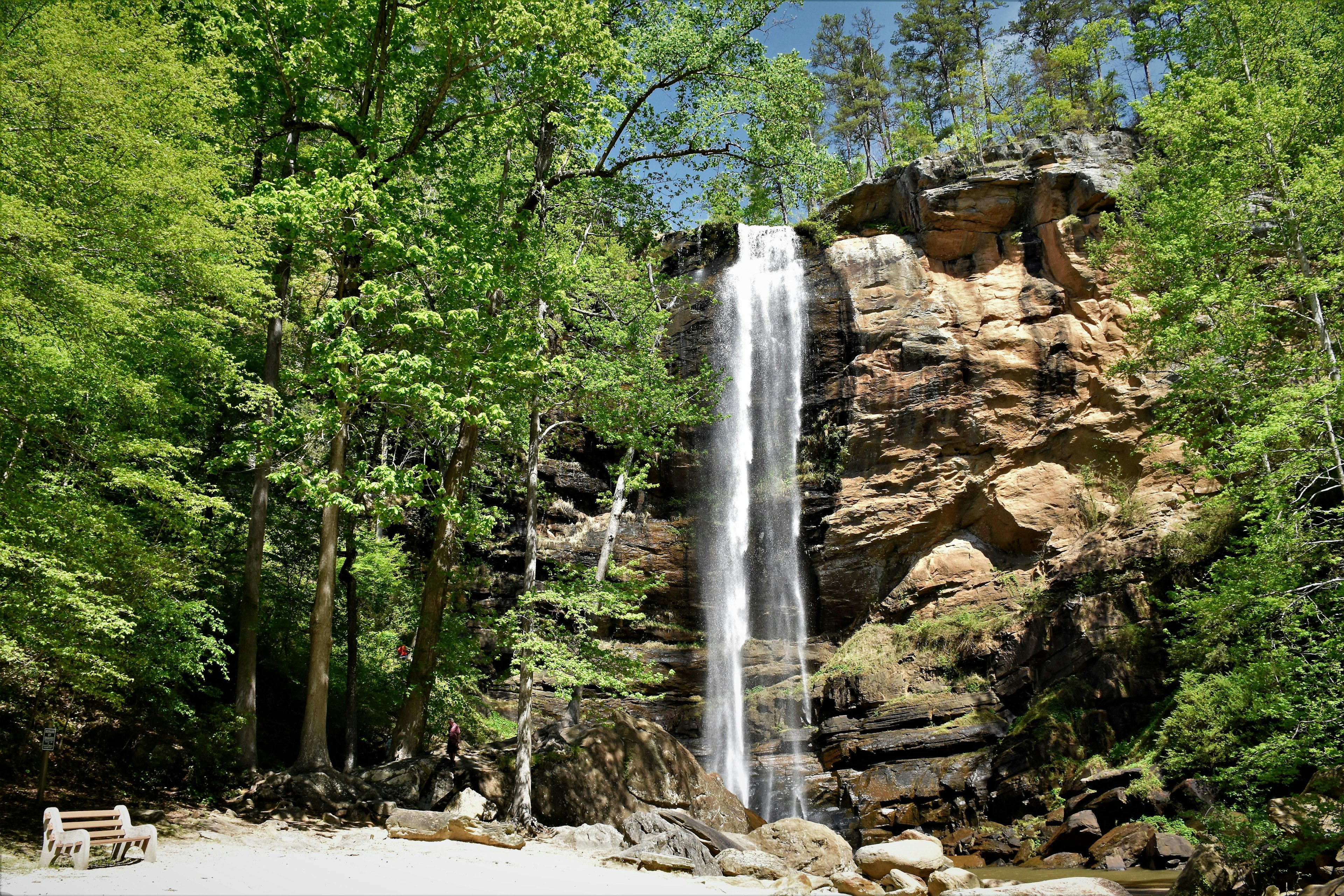 A narrow waterfall surrounded by trees