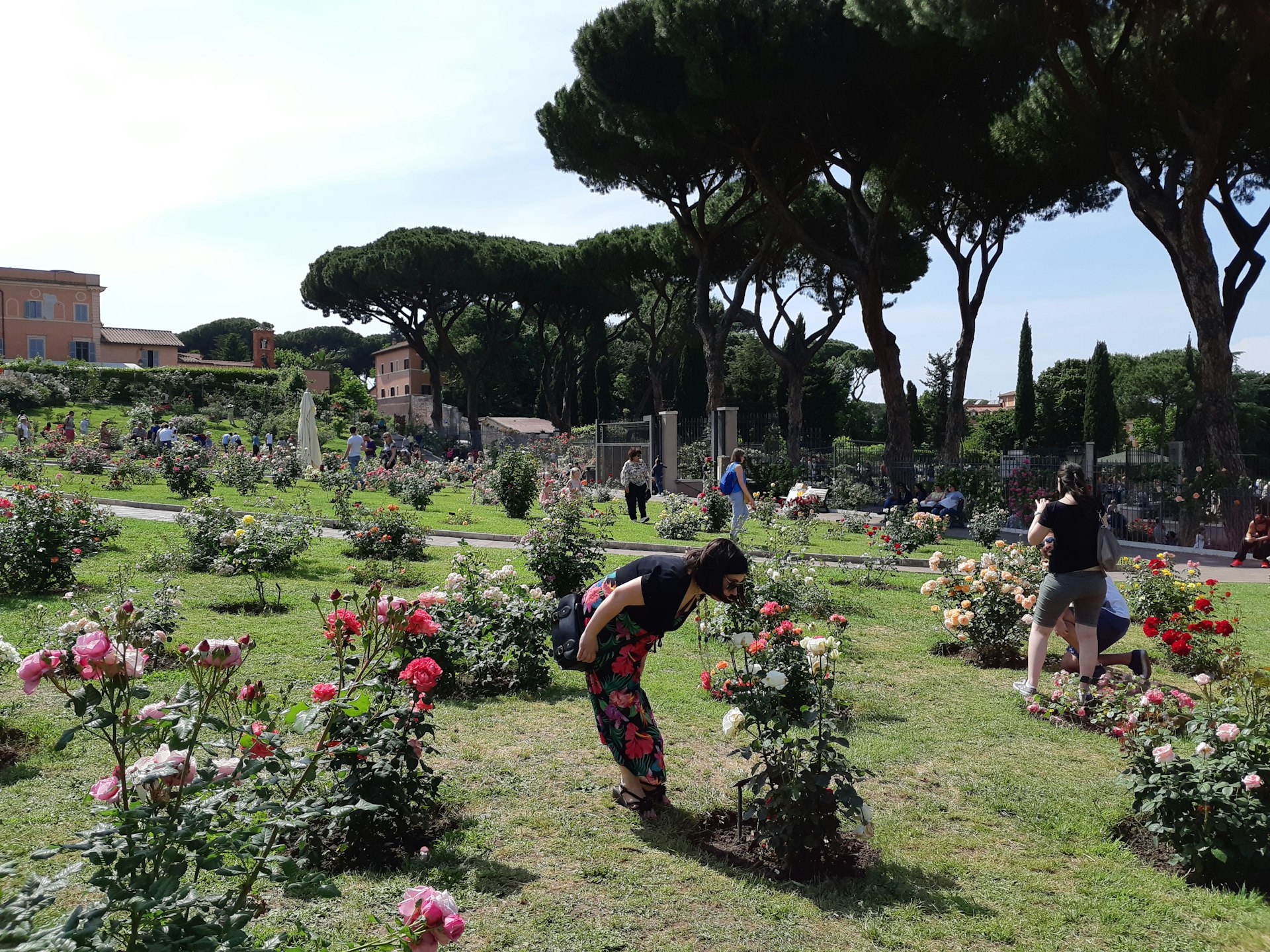 A woman smells the roses at Rome's Roseto Comunale