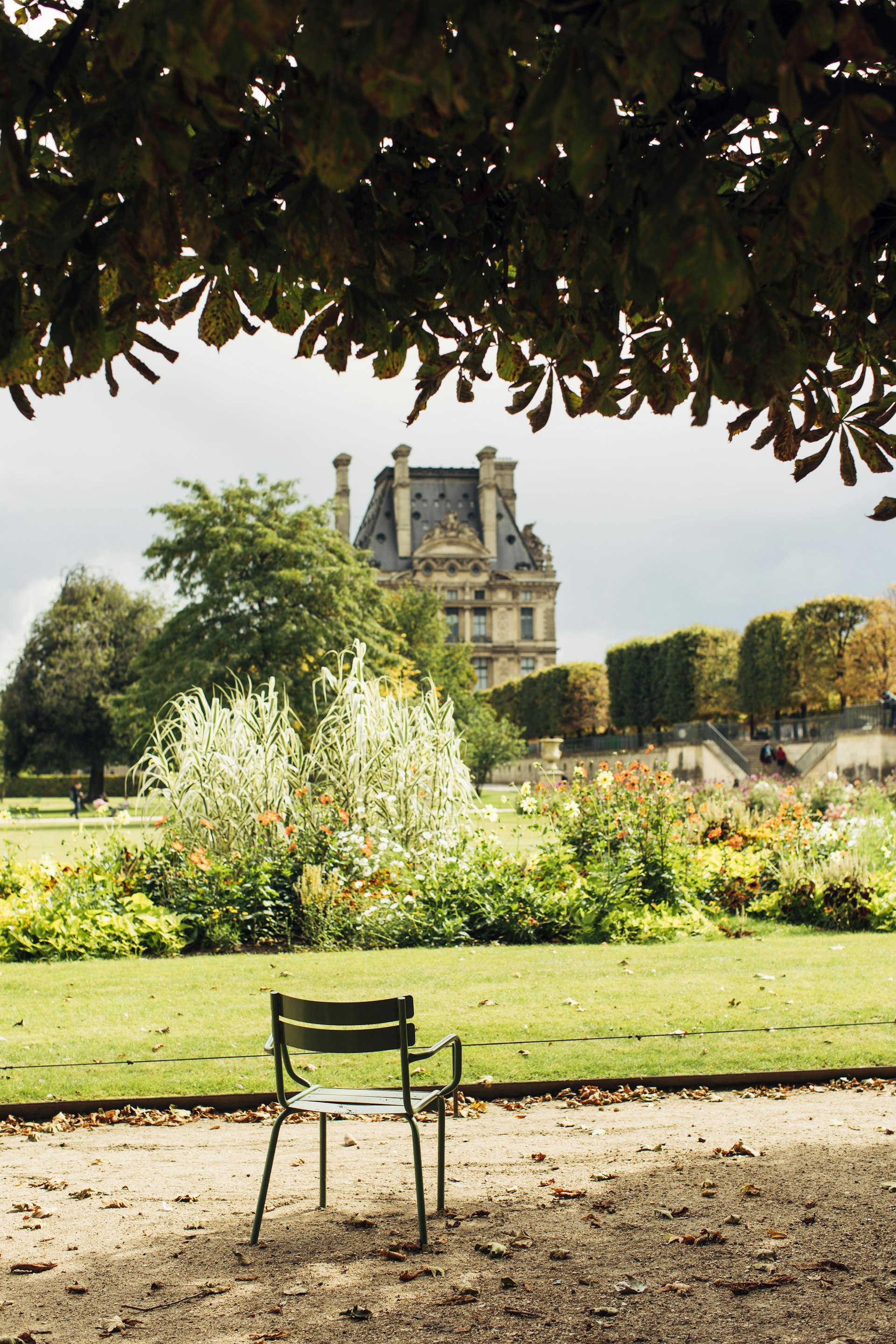 A green chair sits under tree in Jardin des Tuileries in Paris. 