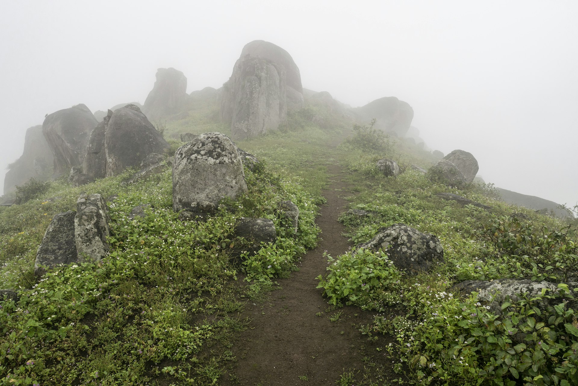 A verdant green path and rocks in the clouds. 