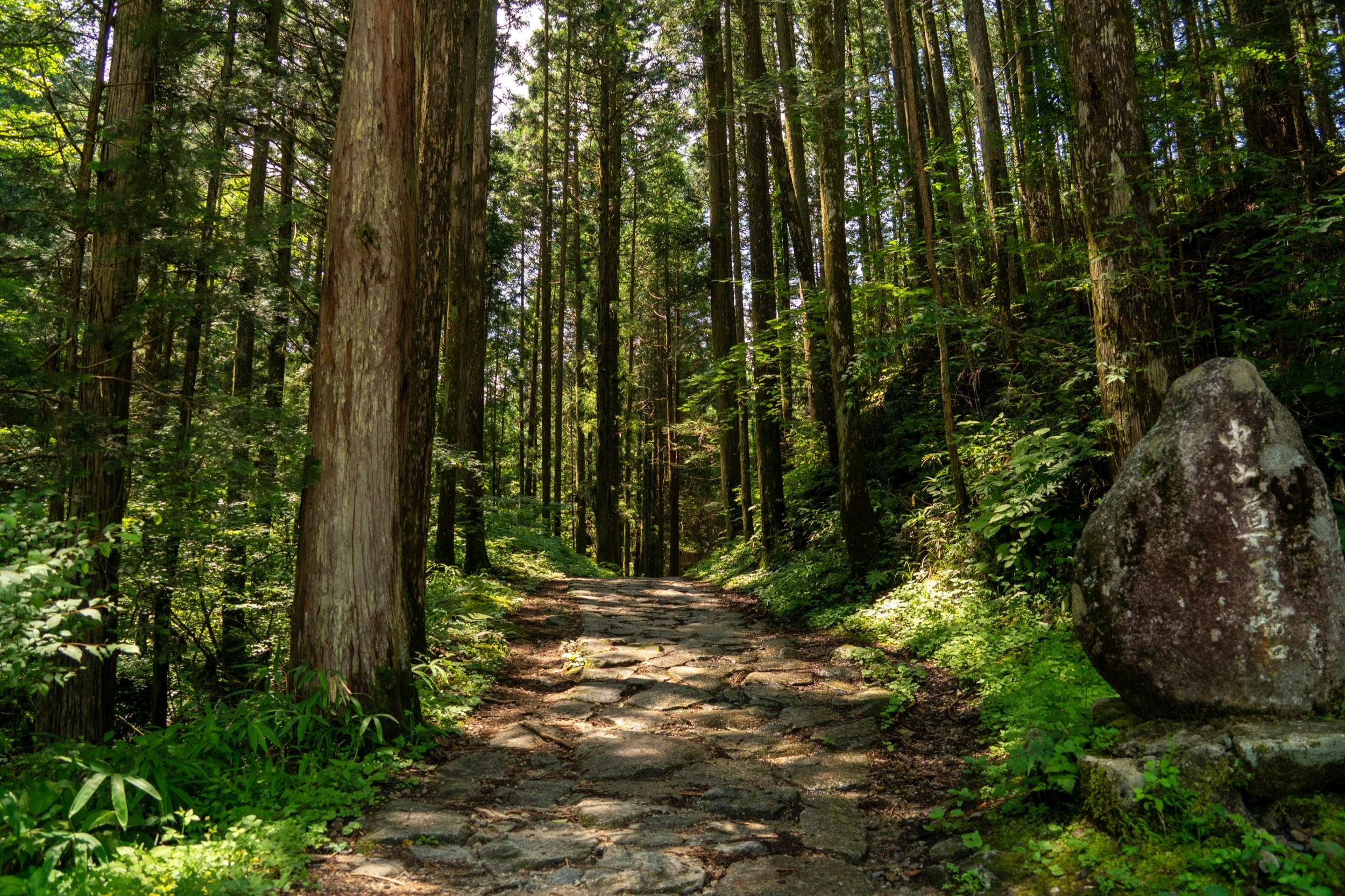 Discover Edo Period Japan on the Nakasendo Trail - Lonely Planet