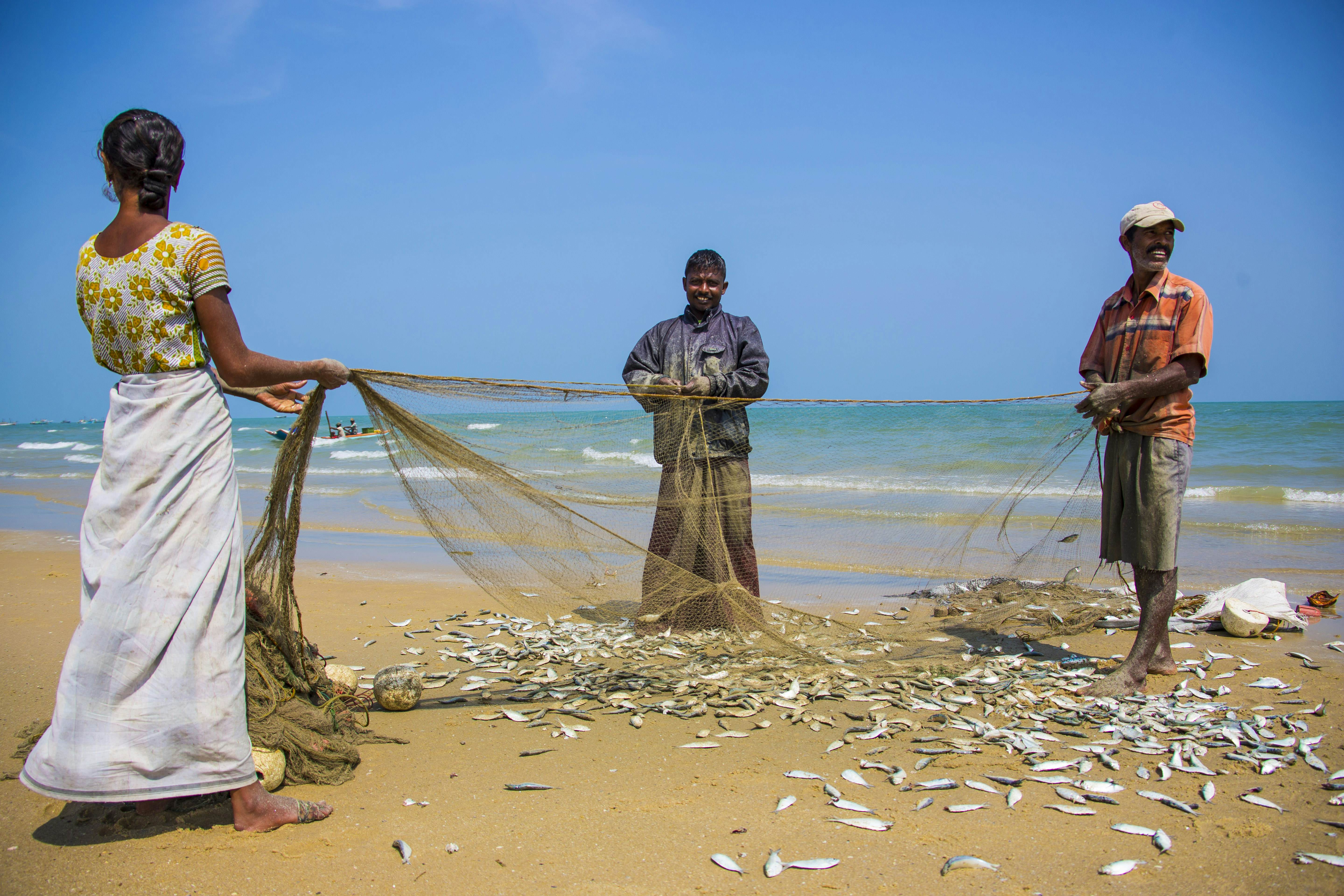 The 10 best beaches in Sri Lanka - Lonely Planet