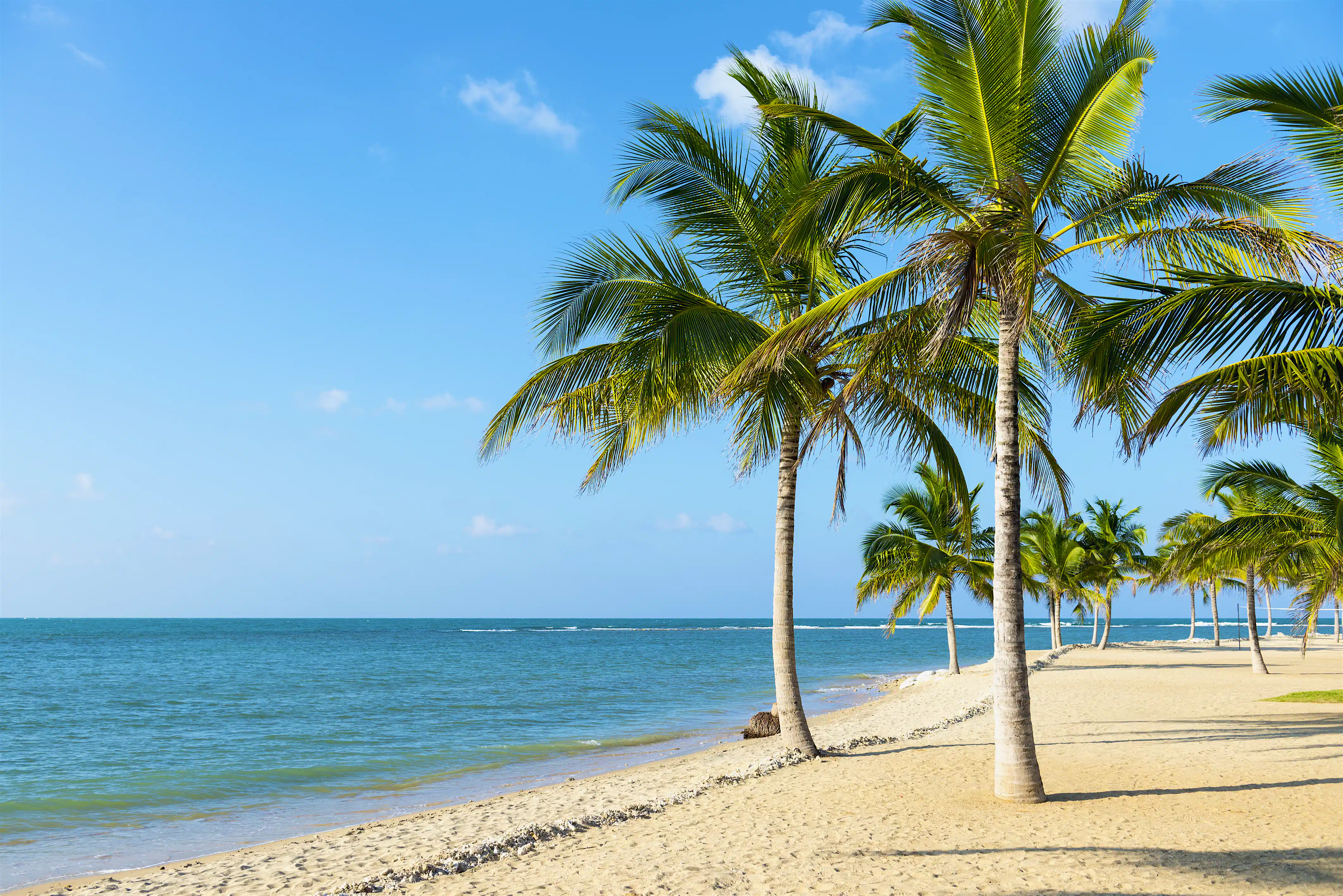 The 10 Best Beaches In Sri Lanka Lonely Planet the-10-best-beaches-in-sri-lanka-lonely-planet