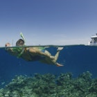 Split view of tour boat and snorkellers