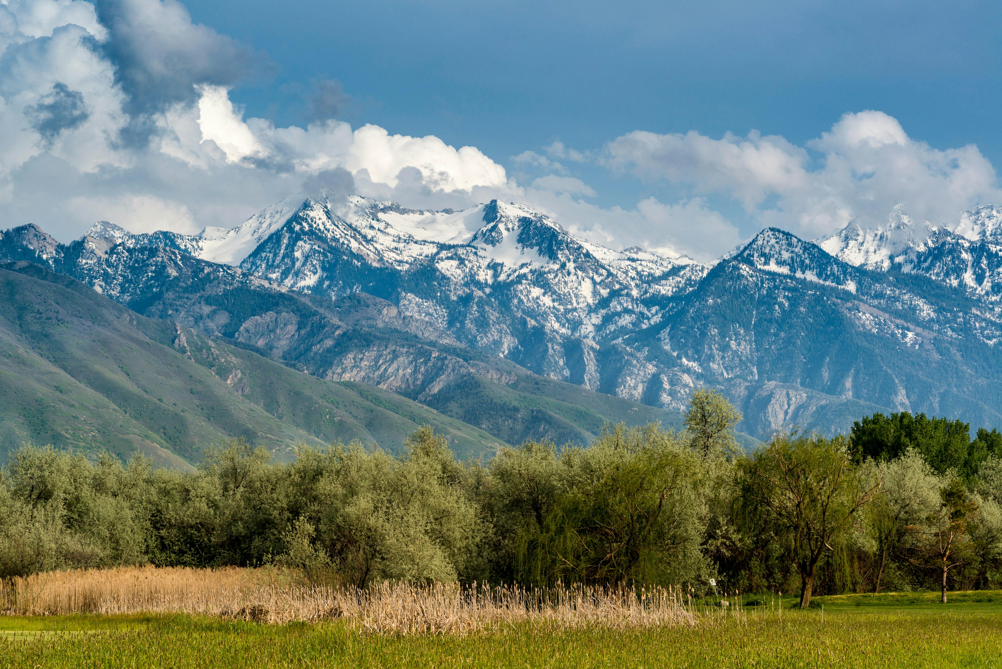 View of Wasatch Mountains from Wheeler Farm, Murray, Utah