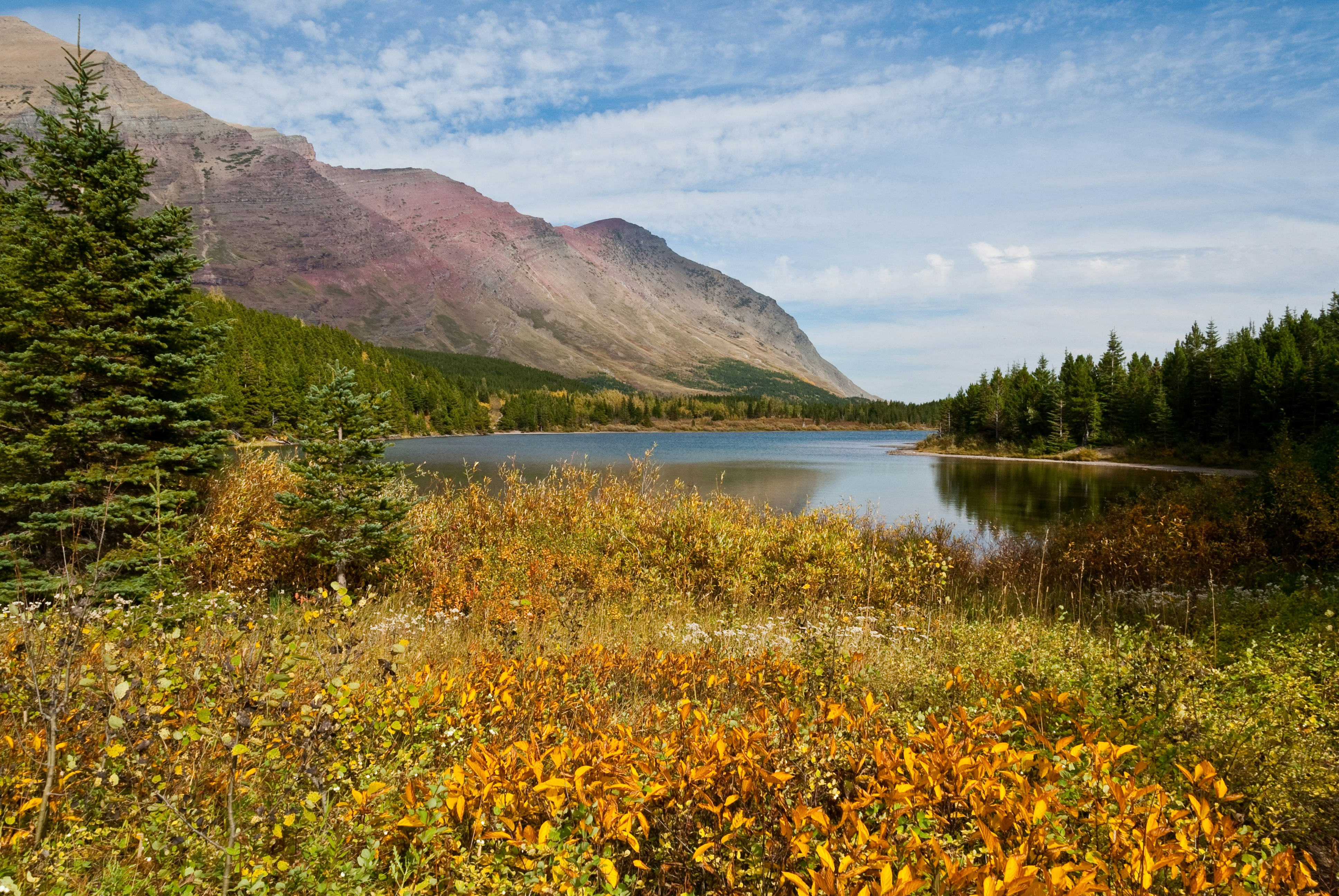 Fall Colors at Redrock Lake in the Swiftcurrent area of Glacier National Park