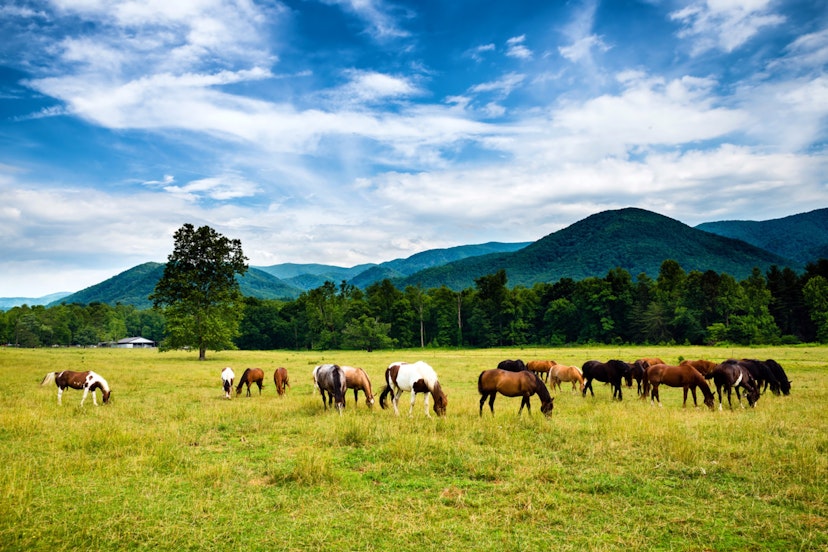 The Best Us State Parks To Visit In 2022 Lonely Planet