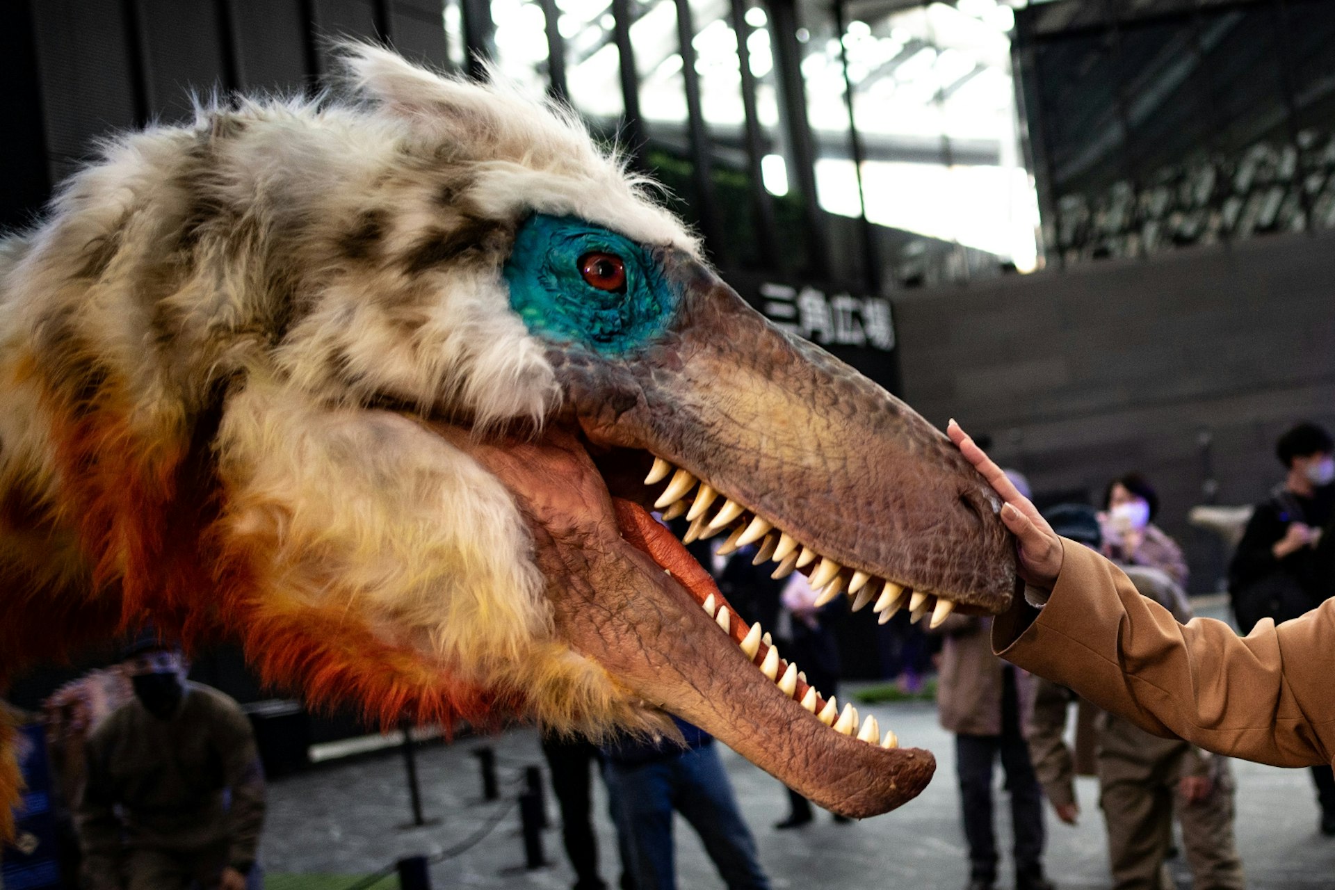 A hand touches a model of a Utahraptor at an exhibition in Tokyo