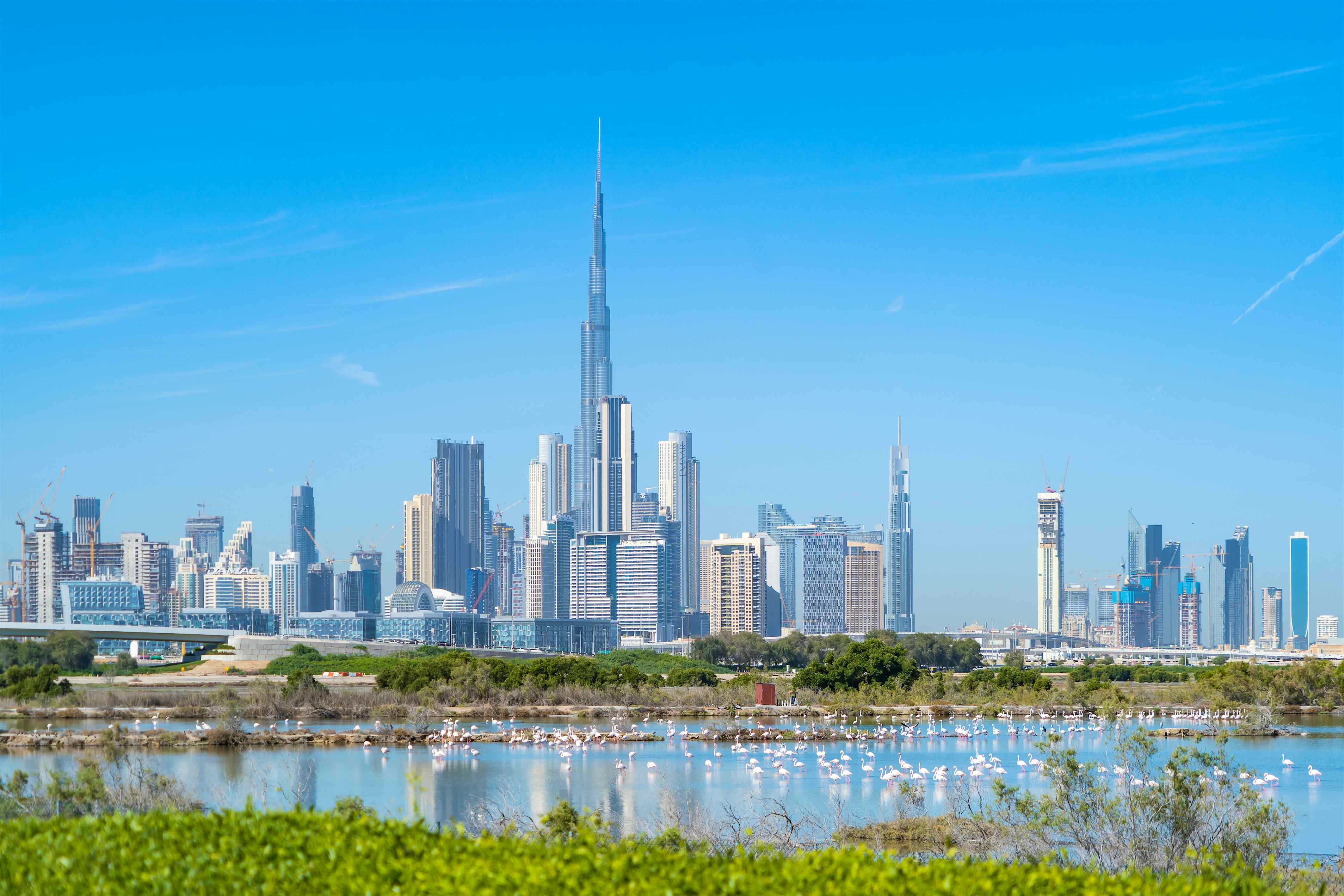 The 9 best parks in Dubai - Lonely Planet