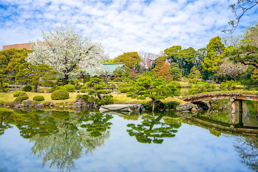 Best parks in Tokyo - Lonely Planet