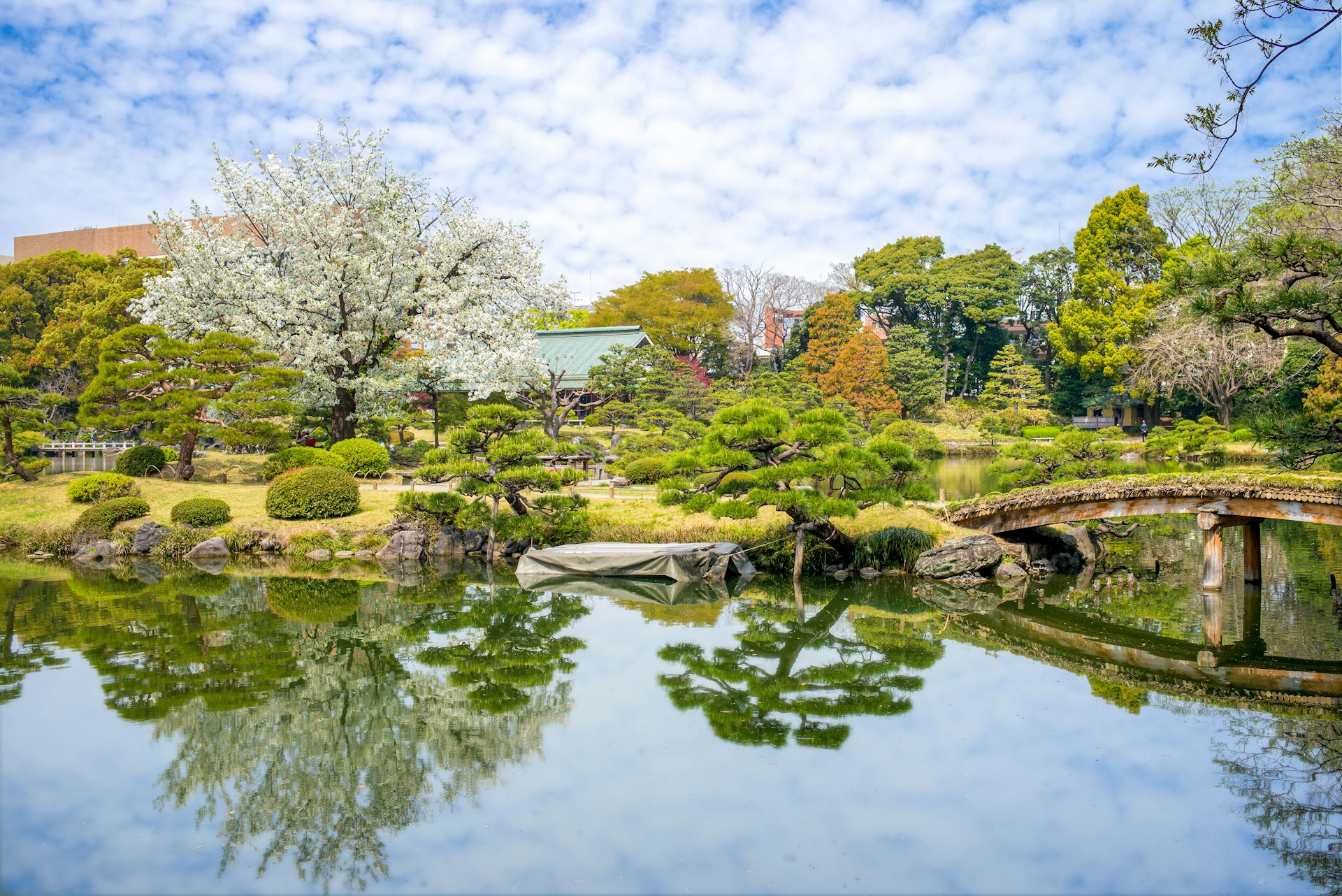 Trees surround a peaceful pond at Kiyosumi Garden in Tokyo, Japan