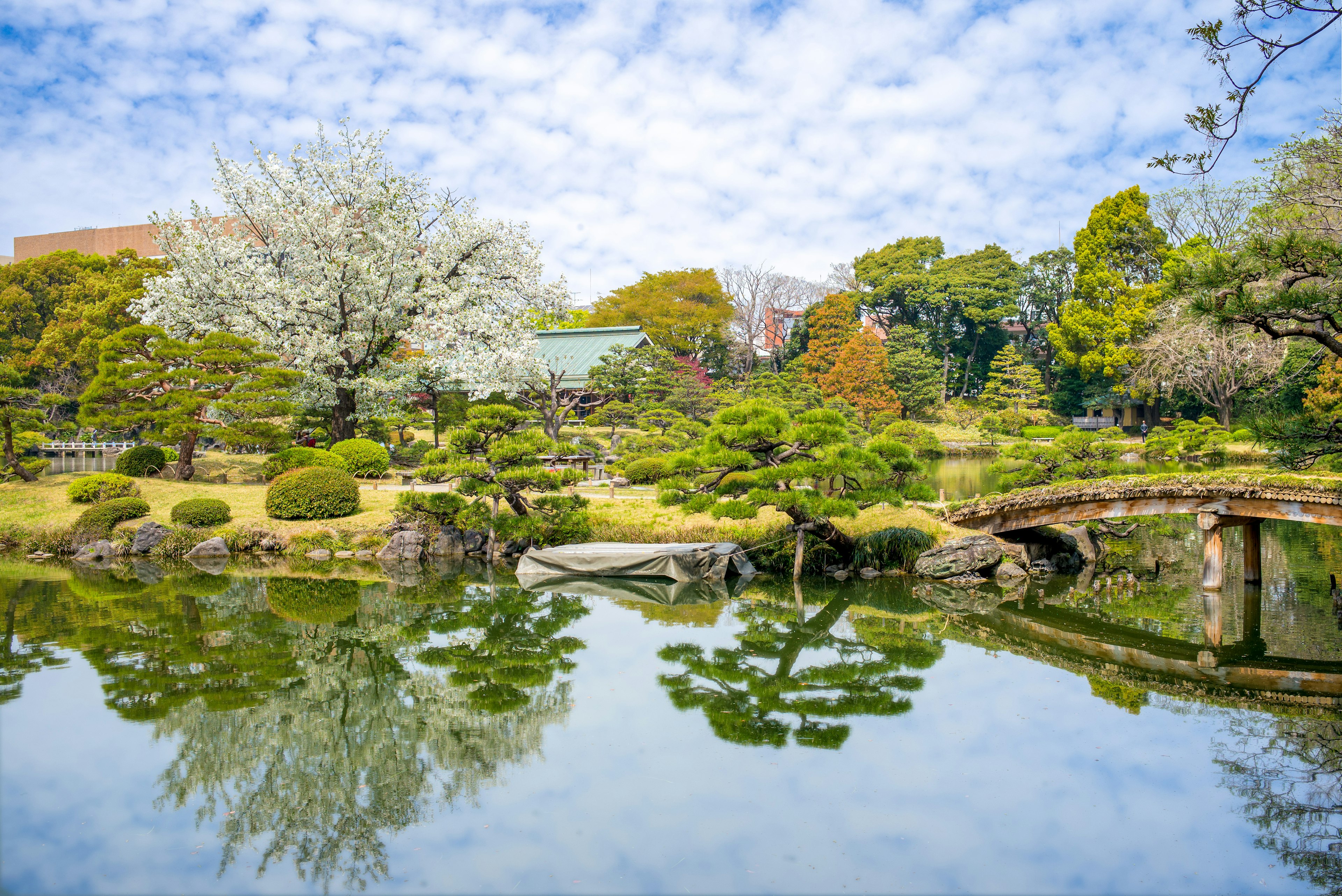 Trees surround a peaceful pond at Kiyosumi Garden in Tokyo, Japan