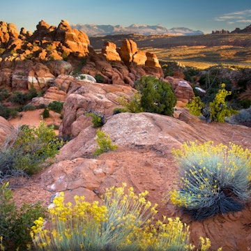 ARCHES NATIONAL PARK