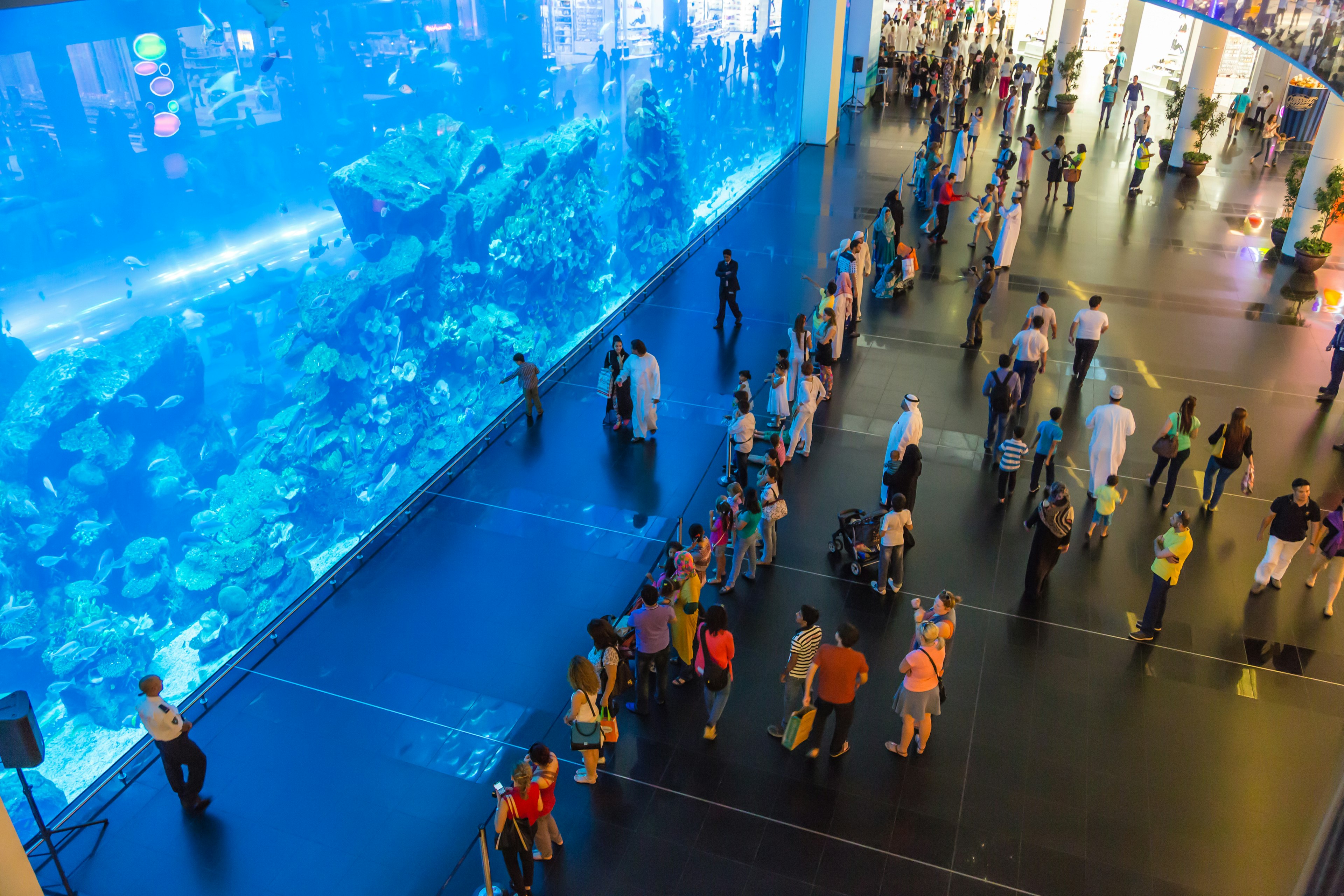 Visitors at the Aquarium in Dubai Mall