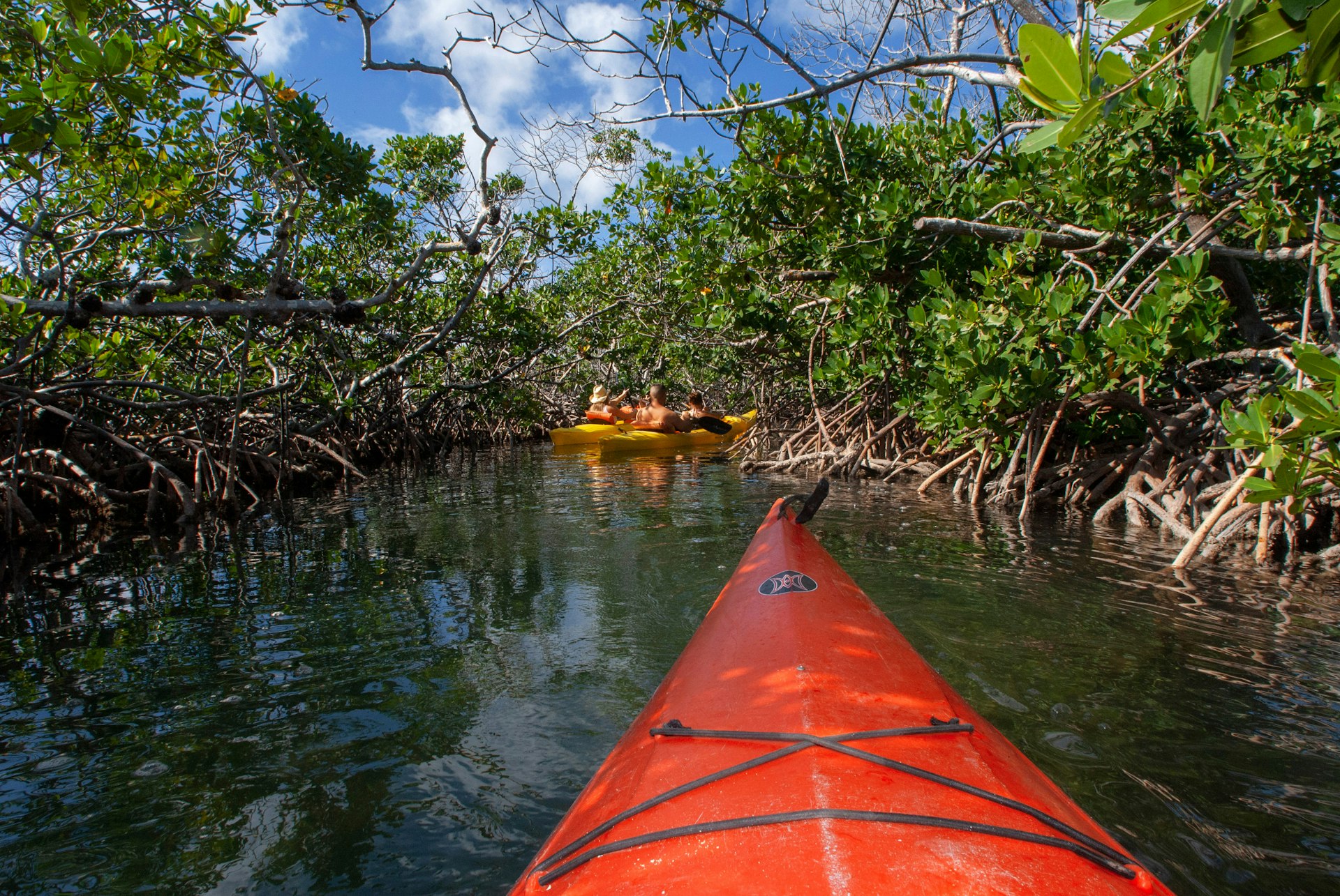 The front portion of a kayak moves through the waters of the Lucayan National Park in Grand Bahama. There are mangroves and trees flanking the waterway. 