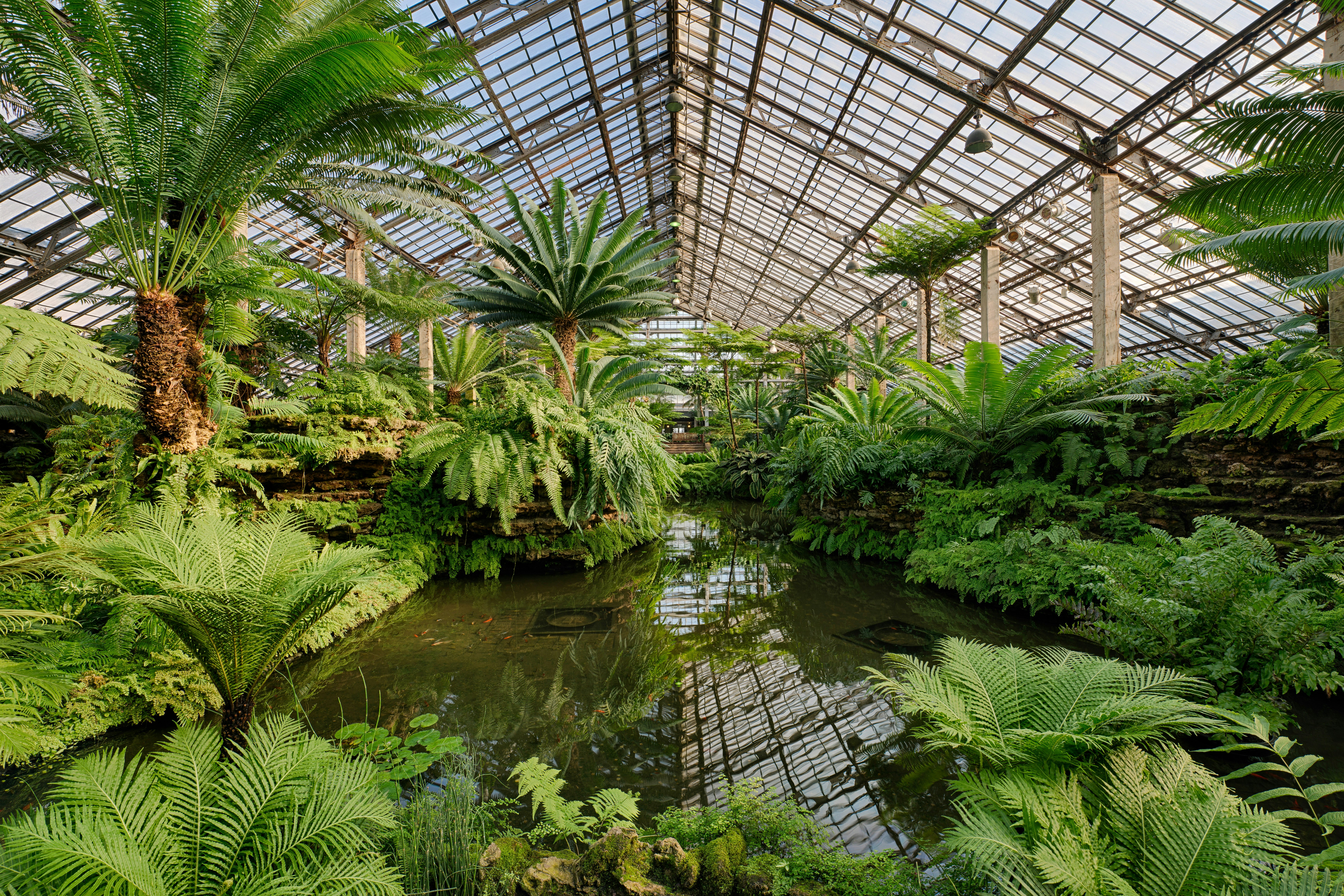 Fern Room of the Garfield Park Conservatory in Chicago