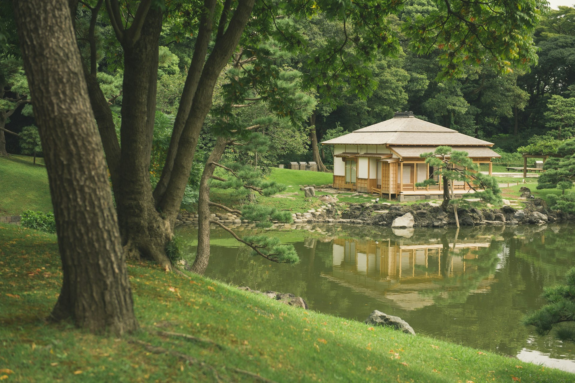 Traditional teahouse in Hama-rikyū Gardens, Tokyo