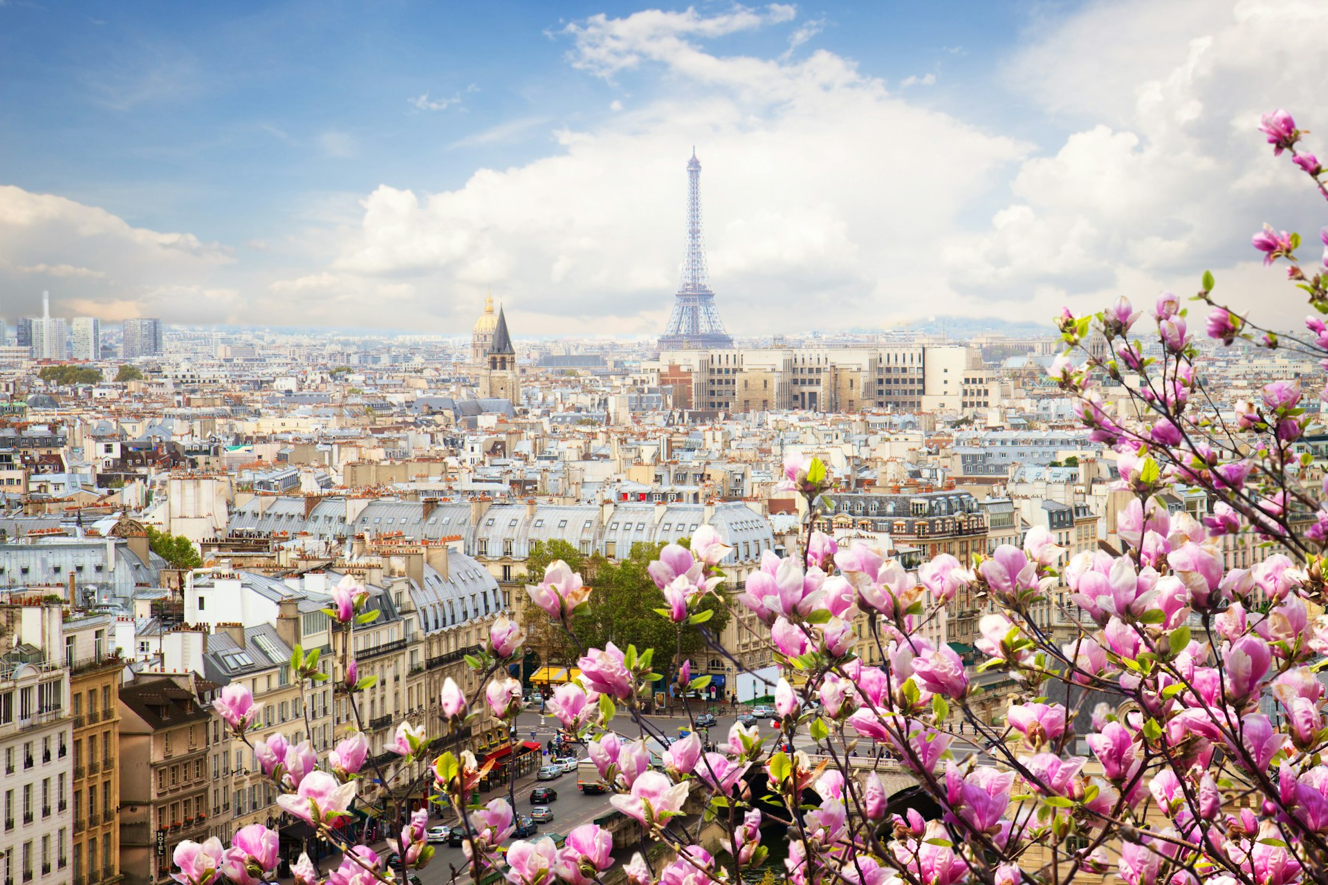 The skyline of Paris with the Eiffel Tower and blooming magnolia