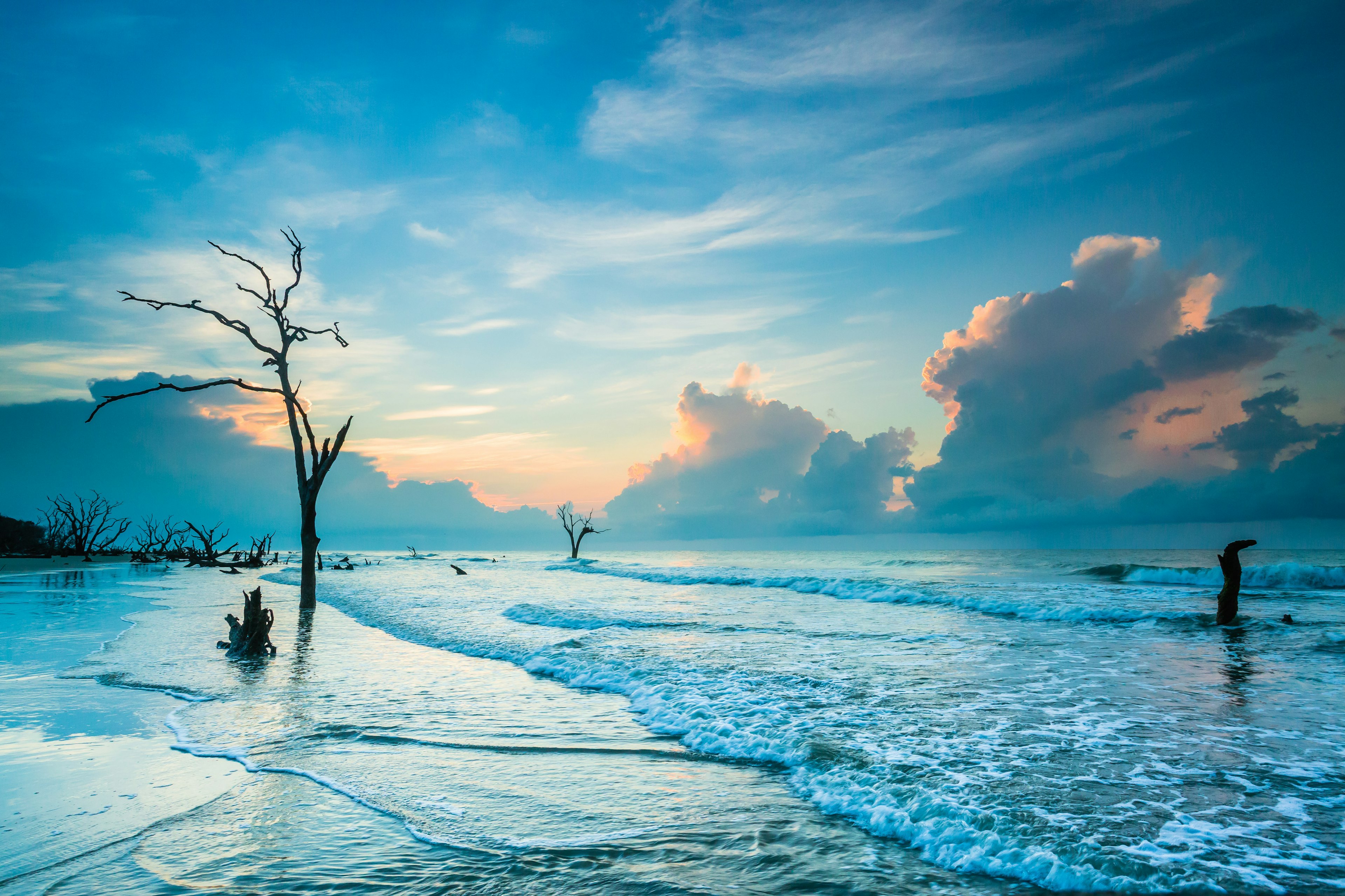 Enjoy photogenic water views at Boneyard Beach (Bull Island) via ferry or kayak. Vince Doyle/Shutterstock