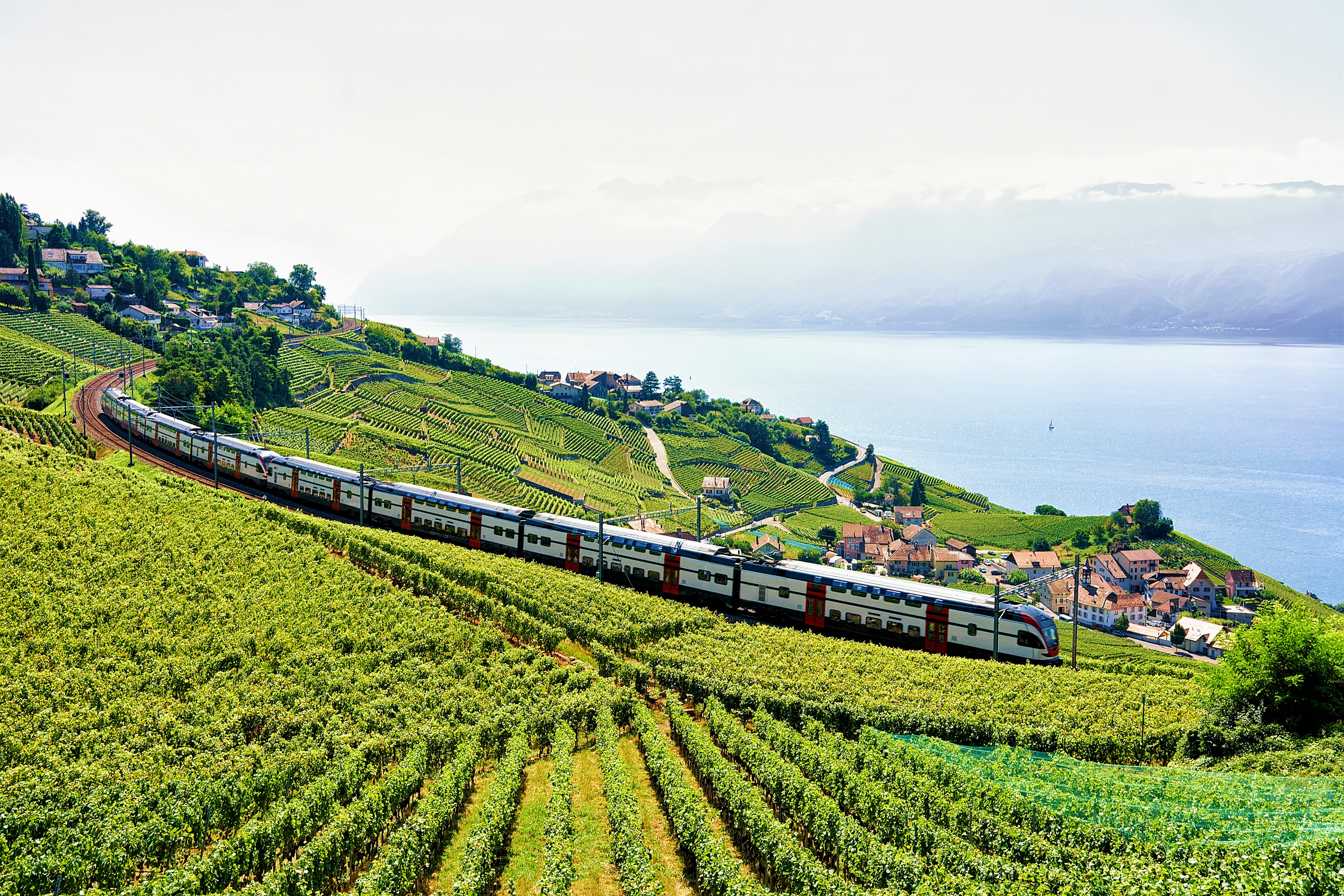 Train travelling through vineyards, as seen from the Lavaux Vineyard Terraces hiking trail near Lake Geneva