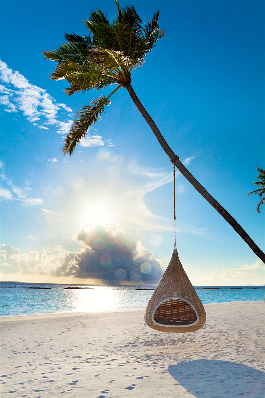 Swing hanging on a coconut palm at a tropical beach in the Maldives.