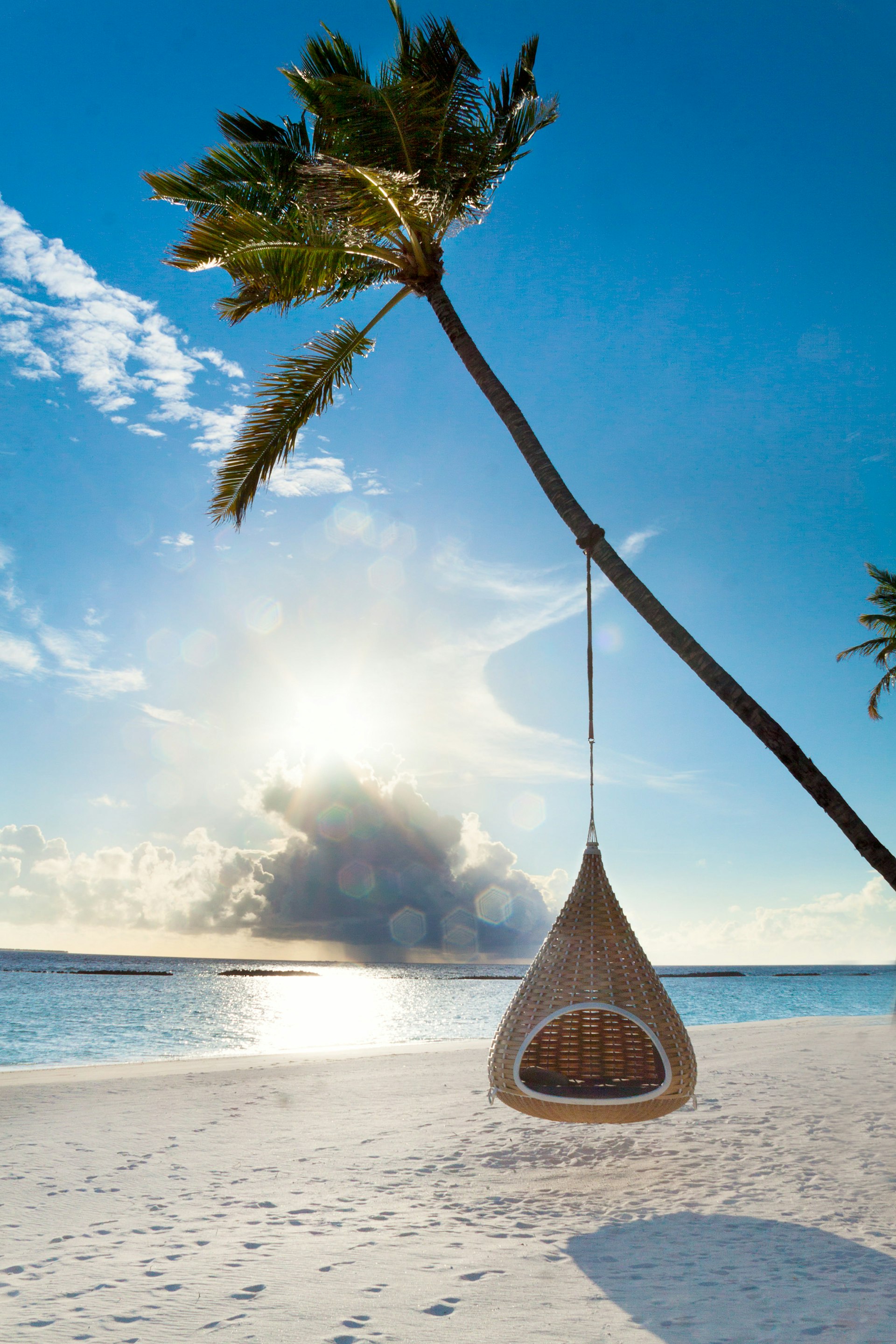 Swing hanging on a coconut palm at a tropical beach in the Maldives.