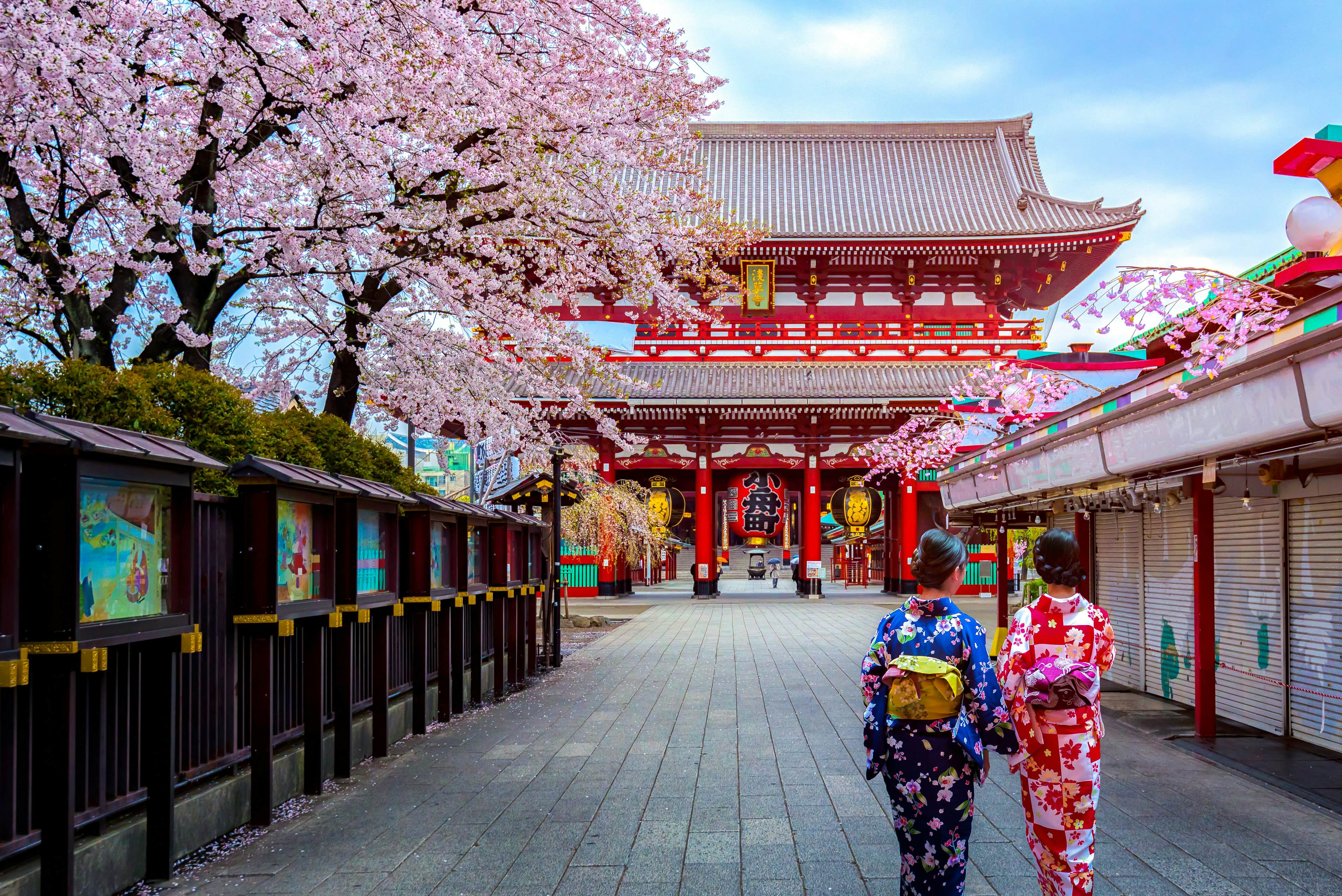 Japan S Stunning Cherry Blossoms Are Set To Bloom Early This Year Lonely Planet