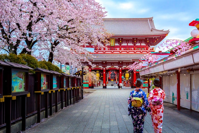 Two geishas wearing traditional japanese kimono among Sensoji Temple in Asakusa Tokyo, Japan.