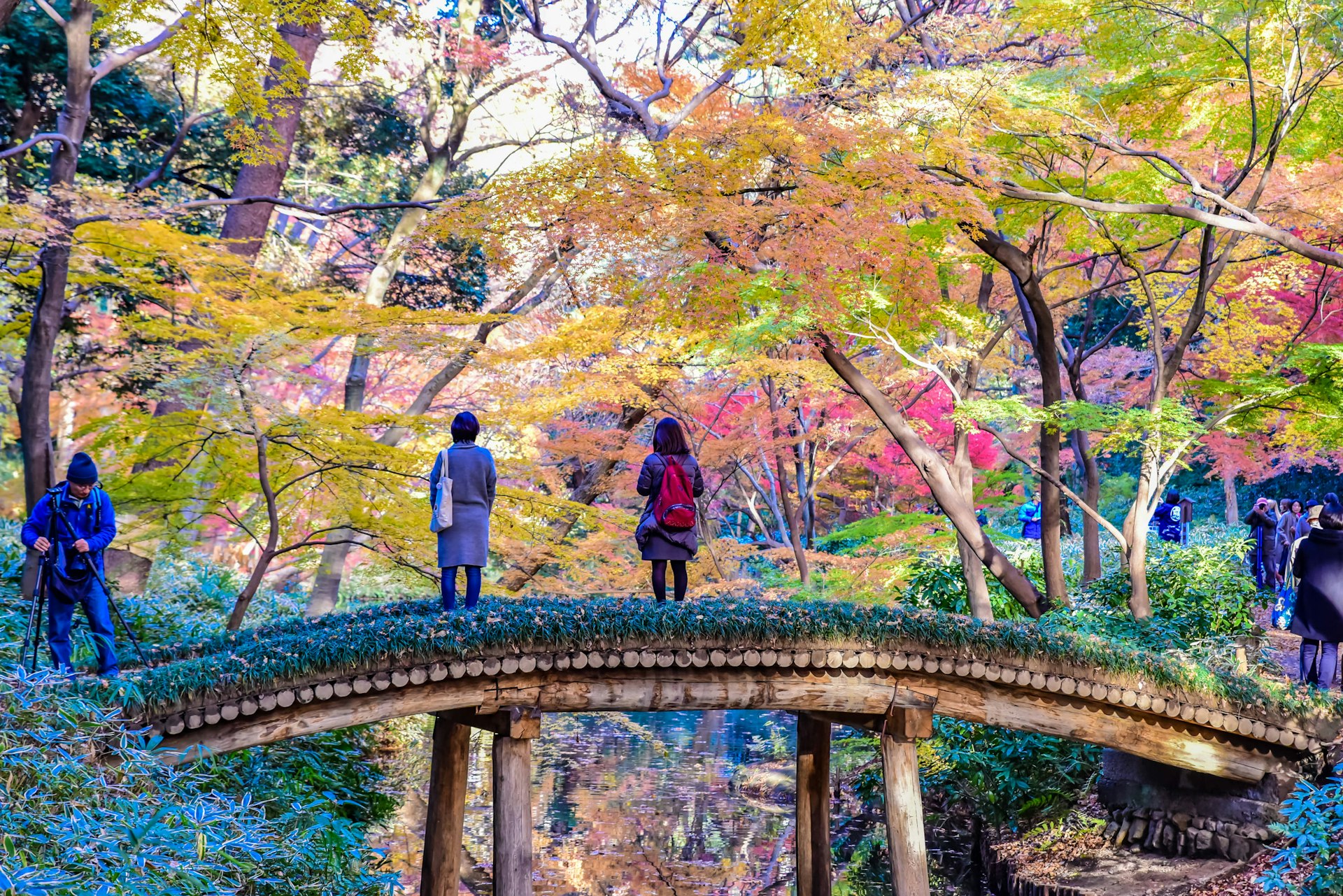 Visitors stand on a bridge at Rikugi-en in fall