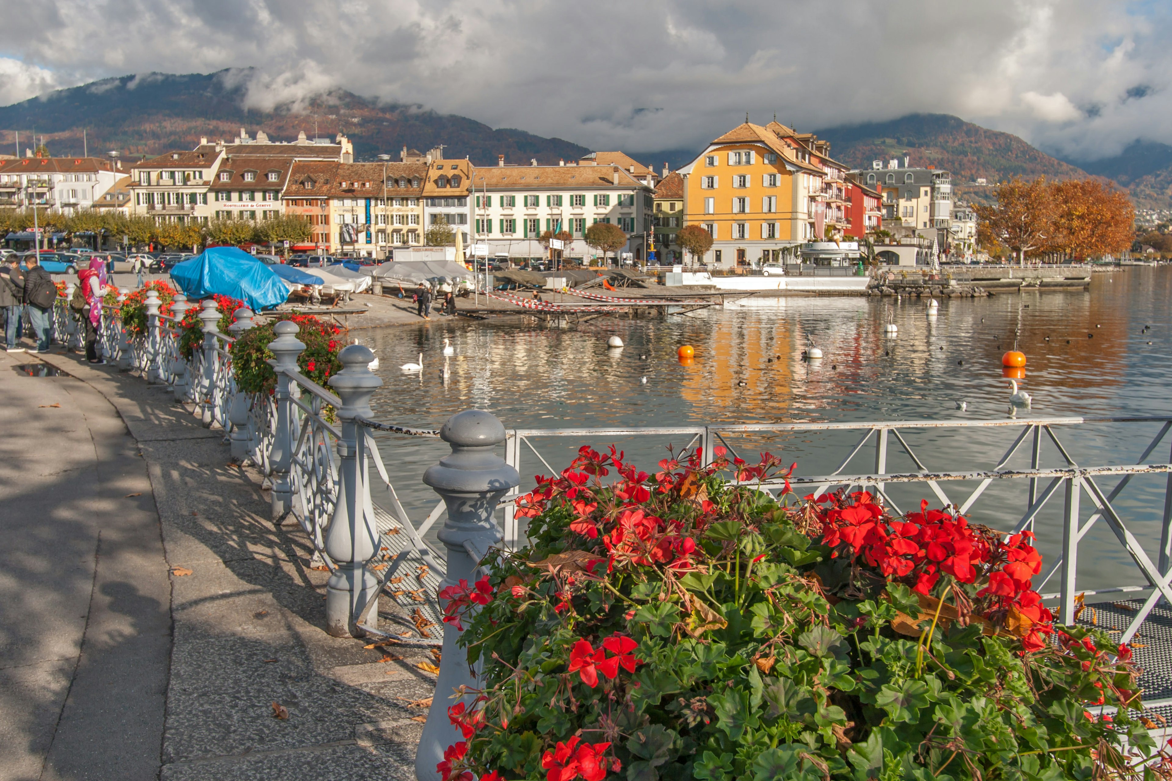 The town of Vevey and Lake Geneva.