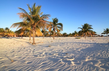 Palm trees on white sand at Playa Sirena on Cayo Largo.