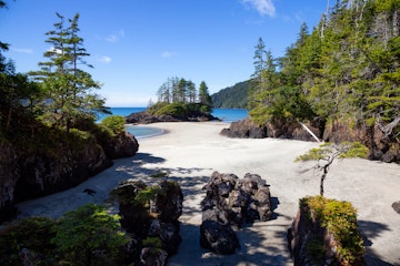 Beautiful panoramic view of sandy beach on Pacific Ocean Coast. Taken in San Josef Bay, Cape Scott Provincial Park, Northern Vancouver Island, BC, Canada.; Shutterstock ID 1194463075; Your name (First / Last): Alex Howard; GL account no.: 65050; Netsuite department name: Digital Content; Full Product or Project name including edition: Best beaches in Canada