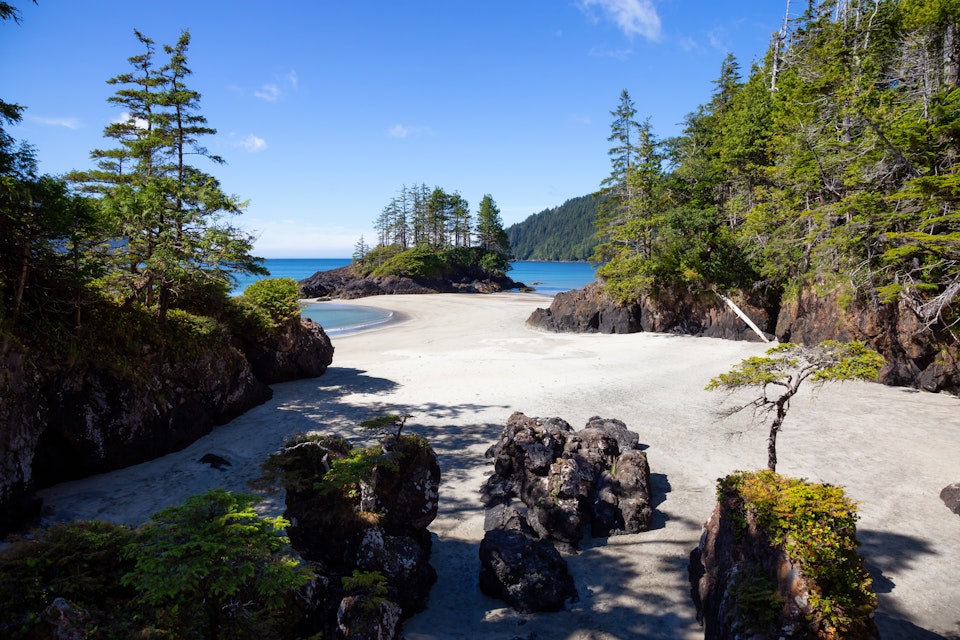 Beautiful panoramic view of sandy beach on Pacific Ocean Coast. Taken in San Josef Bay, Cape Scott Provincial Park, Northern Vancouver Island, BC, Canada.; Shutterstock ID 1194463075; Your name (First / Last): Alex Howard; GL account no.: 65050; Netsuite department name: Digital Content; Full Product or Project name including edition: Best beaches in Canada