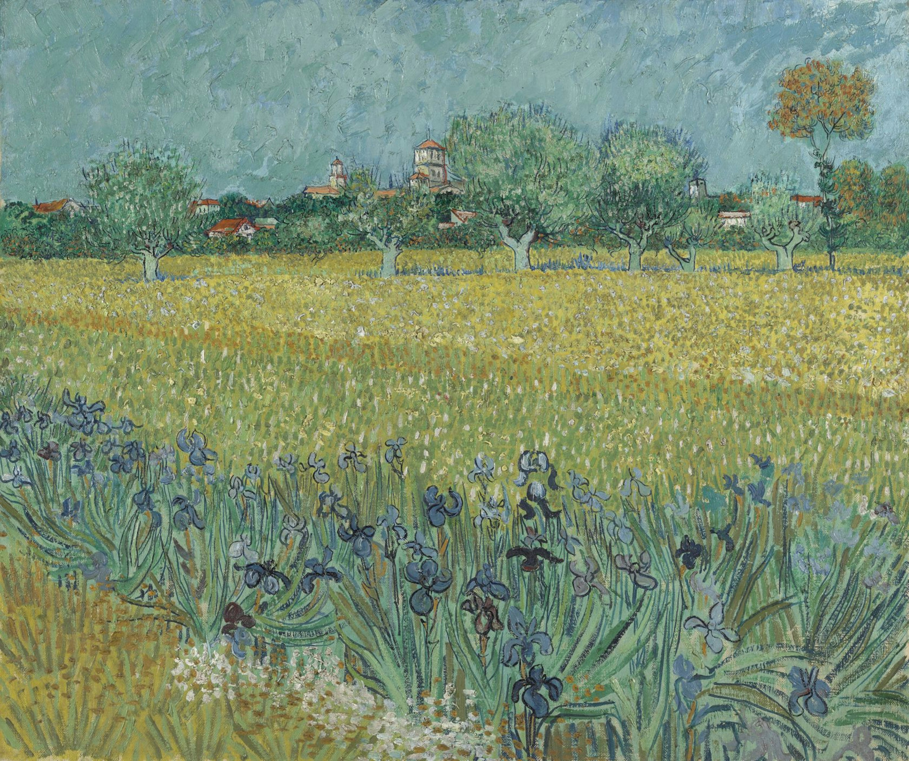 Van Gogh's Field with Irises near Arles painting