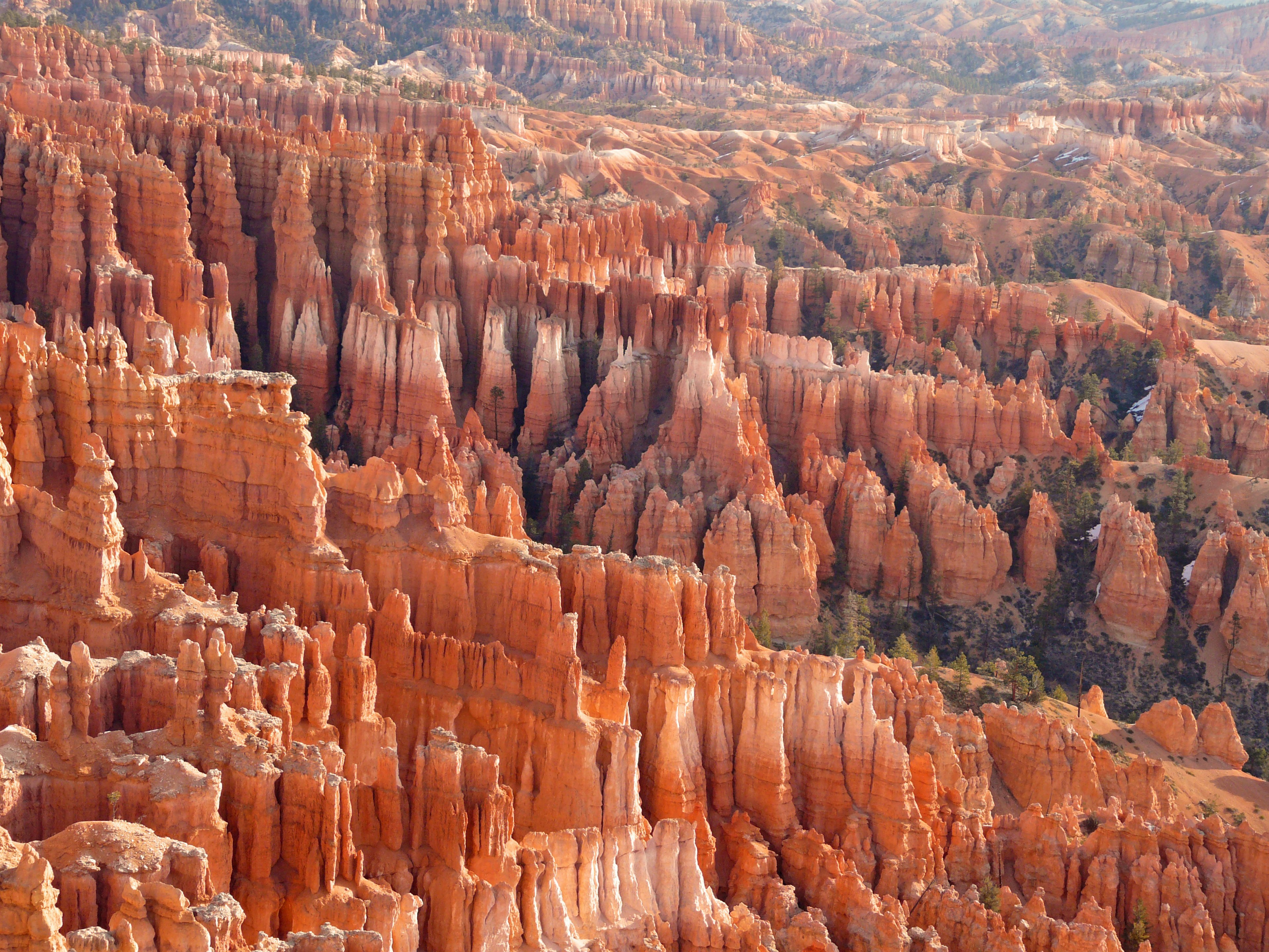 BThoodoos-in-bryce-canyon-07201406-113824.jpg