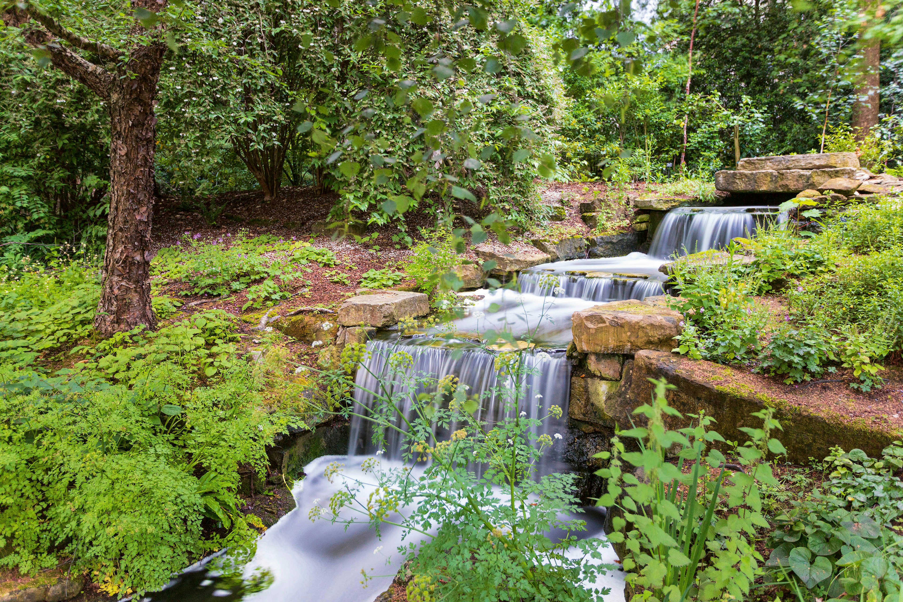 Buckingham Palace Garden 3.jpg