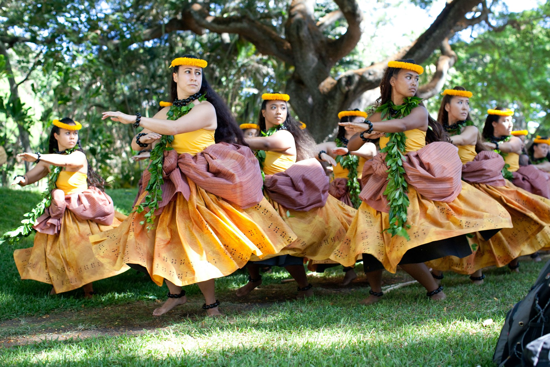 The Halau Na Mamo O Puuanahulu dance troupe performs at the Honolulu Hula Festival, summer of 2013 Honolulu Hawaii.