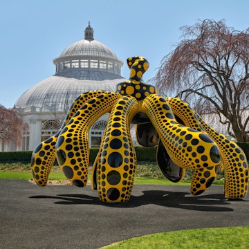 Dancing Pumpkin (2020)